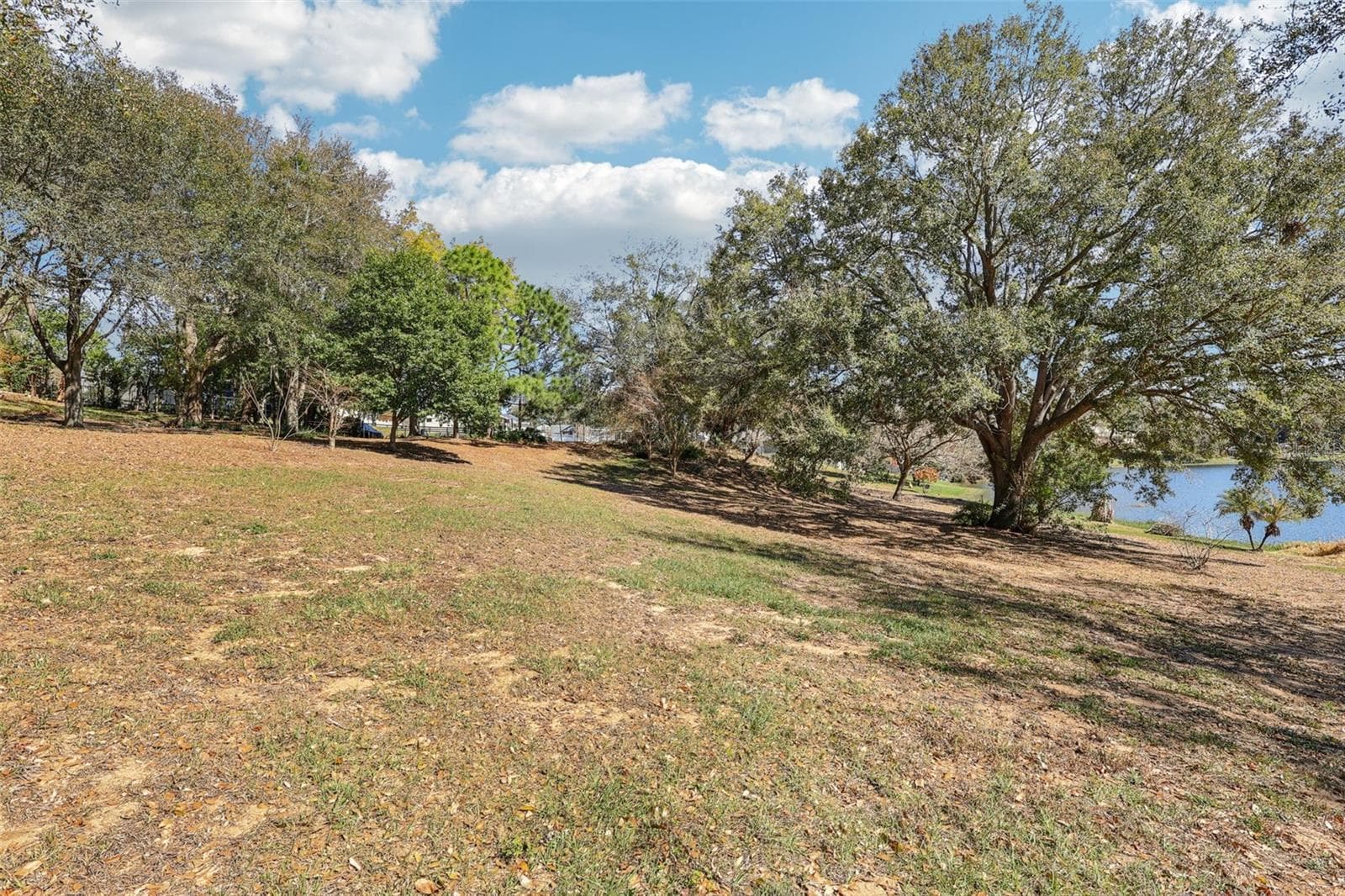 Land at WESTMORELAND AVE, EUSTIS, photo 13 of 17