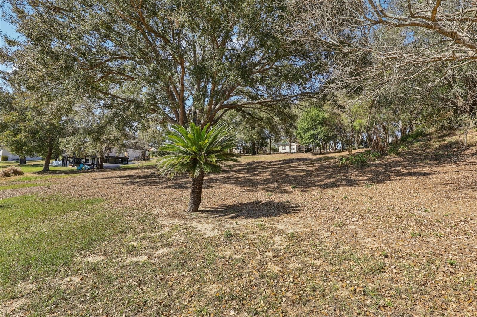 Land at WESTMORELAND AVE, EUSTIS, photo 17 of 17