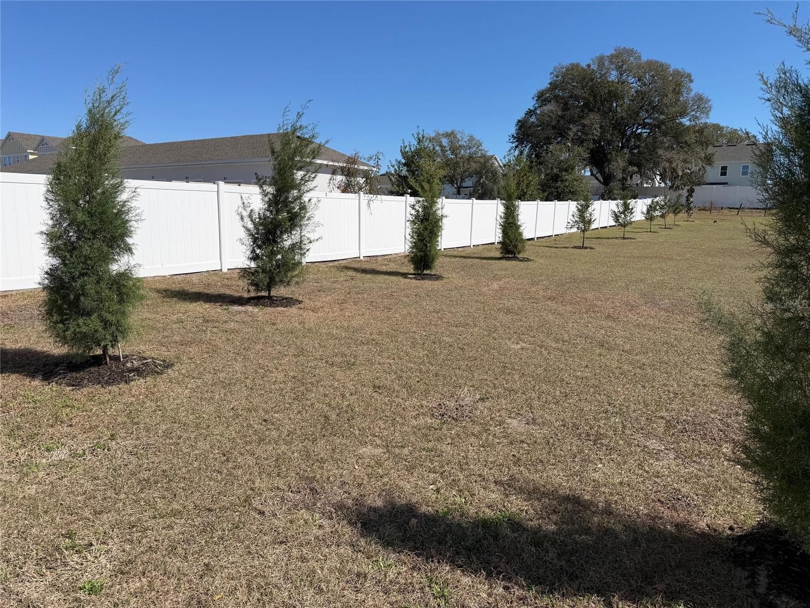 Southern Red Cedar and Leyland Cypress trees planted along the perimeter will provide added privacy with growth from 40-90' over the next few years. - 5092 NE 81ST BLVD, WILDWOOD