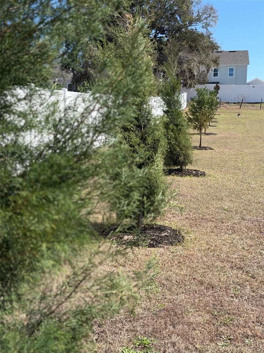 Southern Red Cedar and Leyland Cypress trees planted along the perimeter will provide added privacy with growth from 40-90' over the next few years. - 5092 NE 81ST BLVD, WILDWOOD