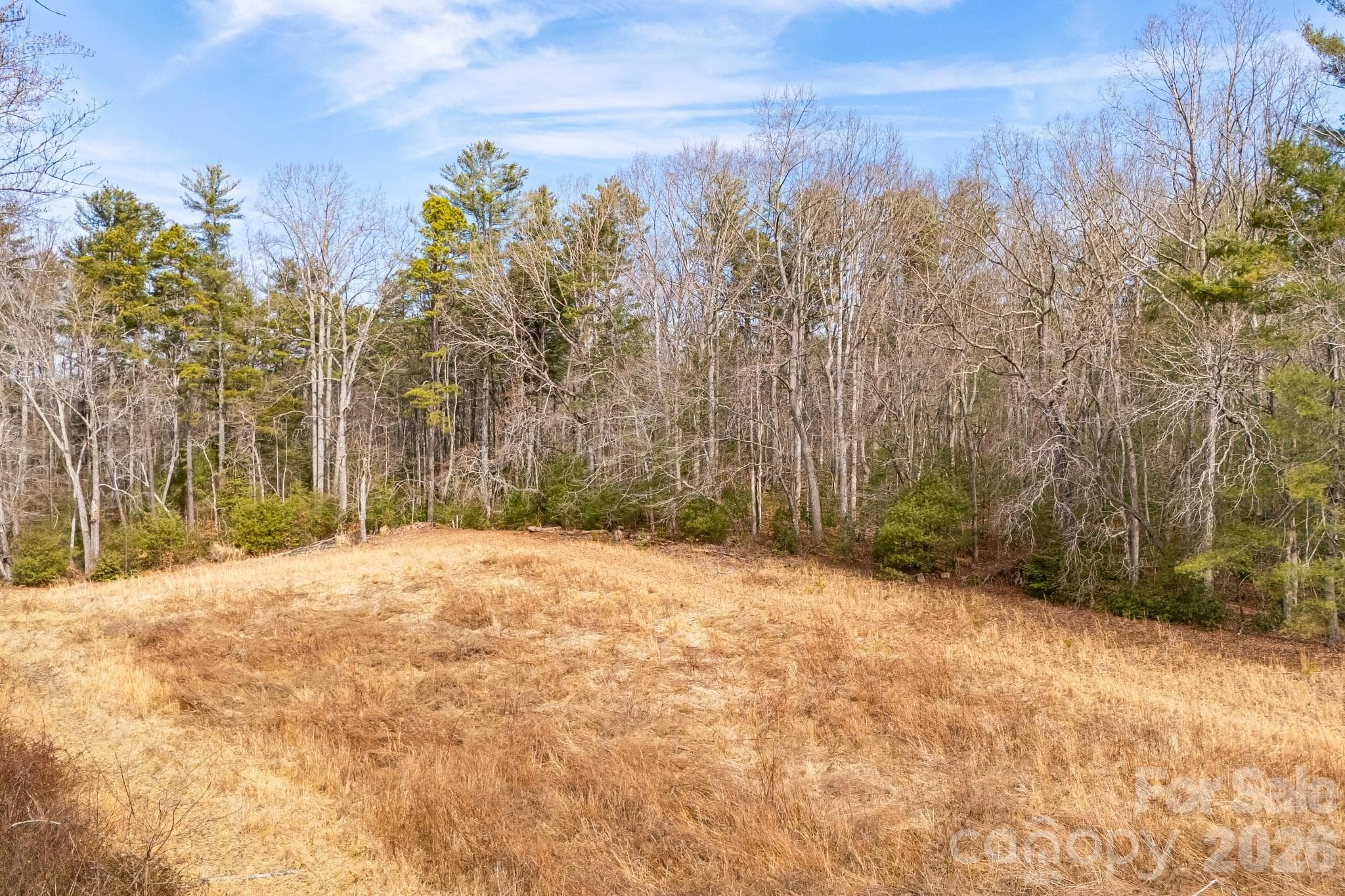 Unimproved Commercial at 00 Old Haywood Road, Mills River, photo 10 of 16