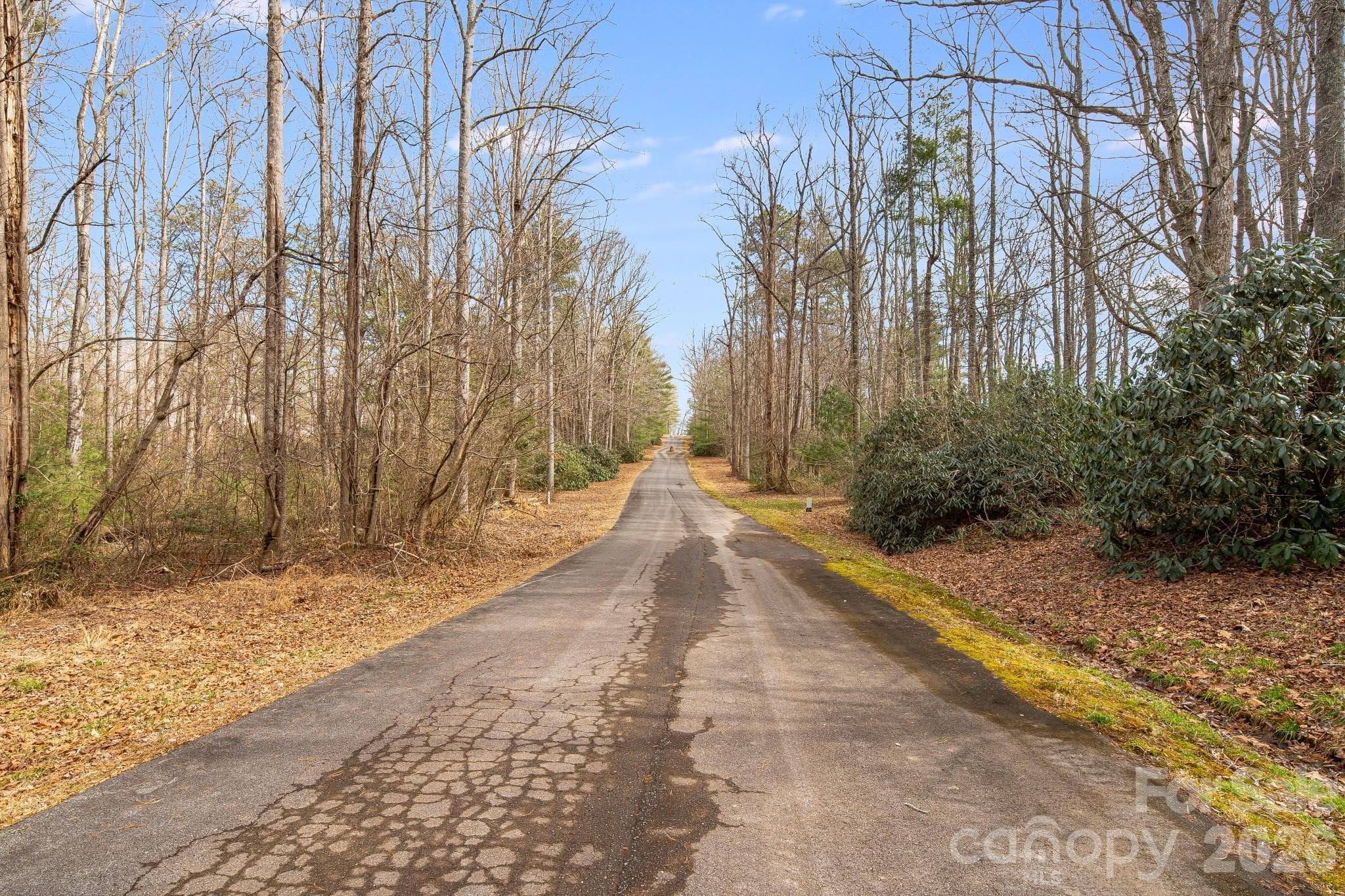 Unimproved Commercial at 00 Old Haywood Road, Mills River, photo 14 of 16