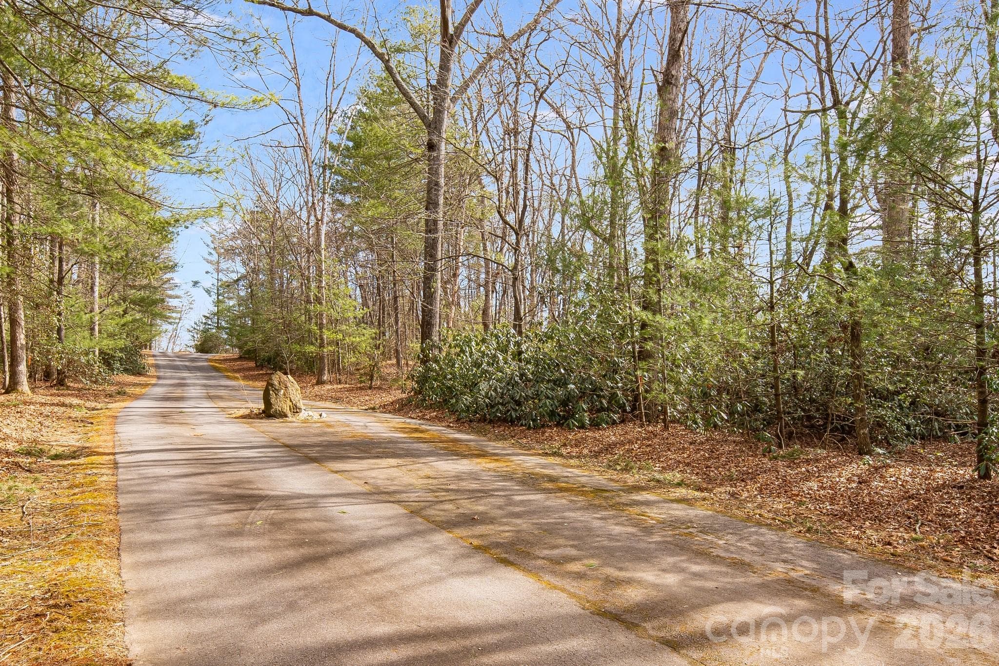 Unimproved Commercial at 00 Old Haywood Road, Mills River, photo 15 of 16