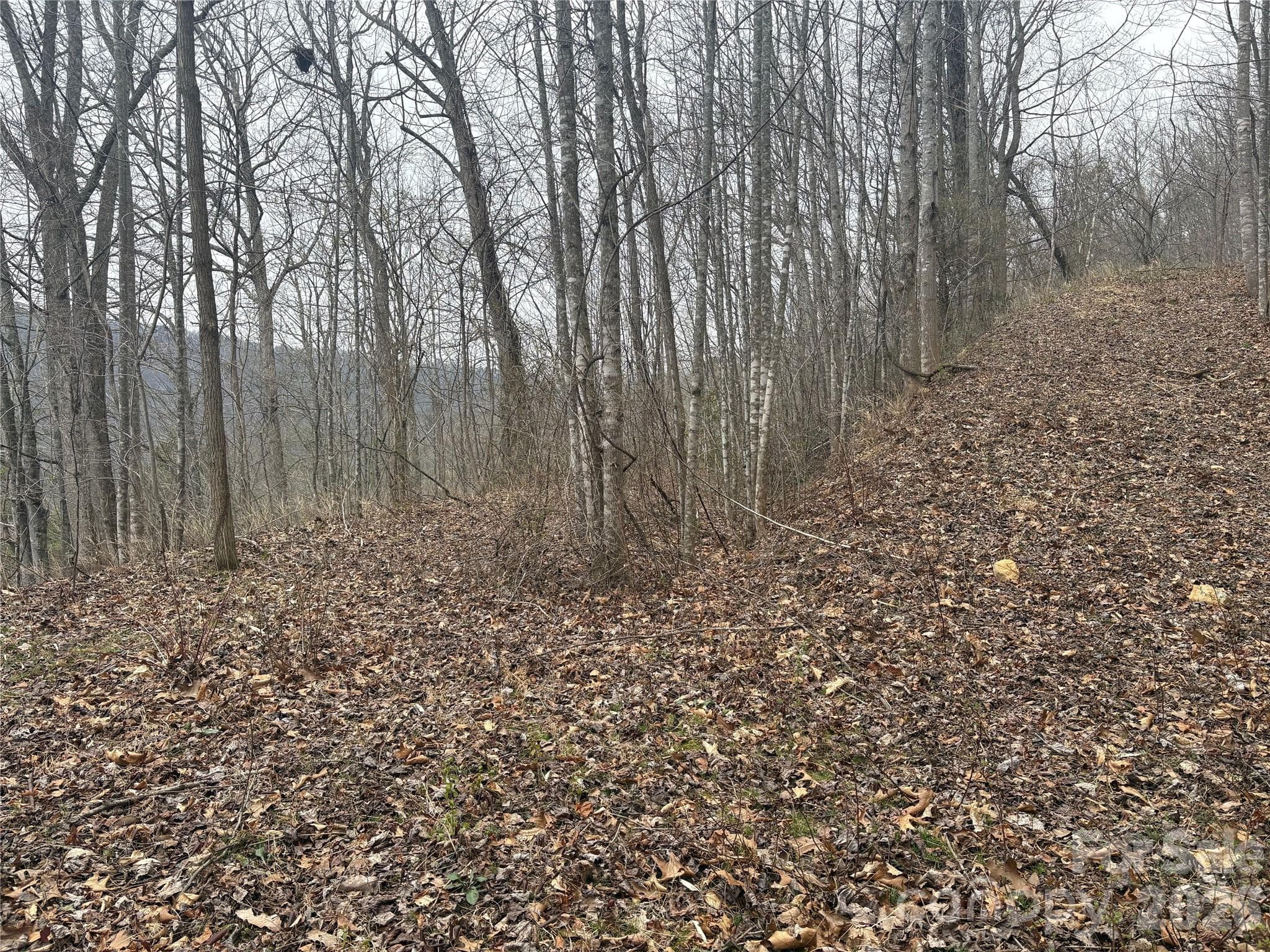 Lot at 00 Country Club Drive, Whittier, photo 13 of 24