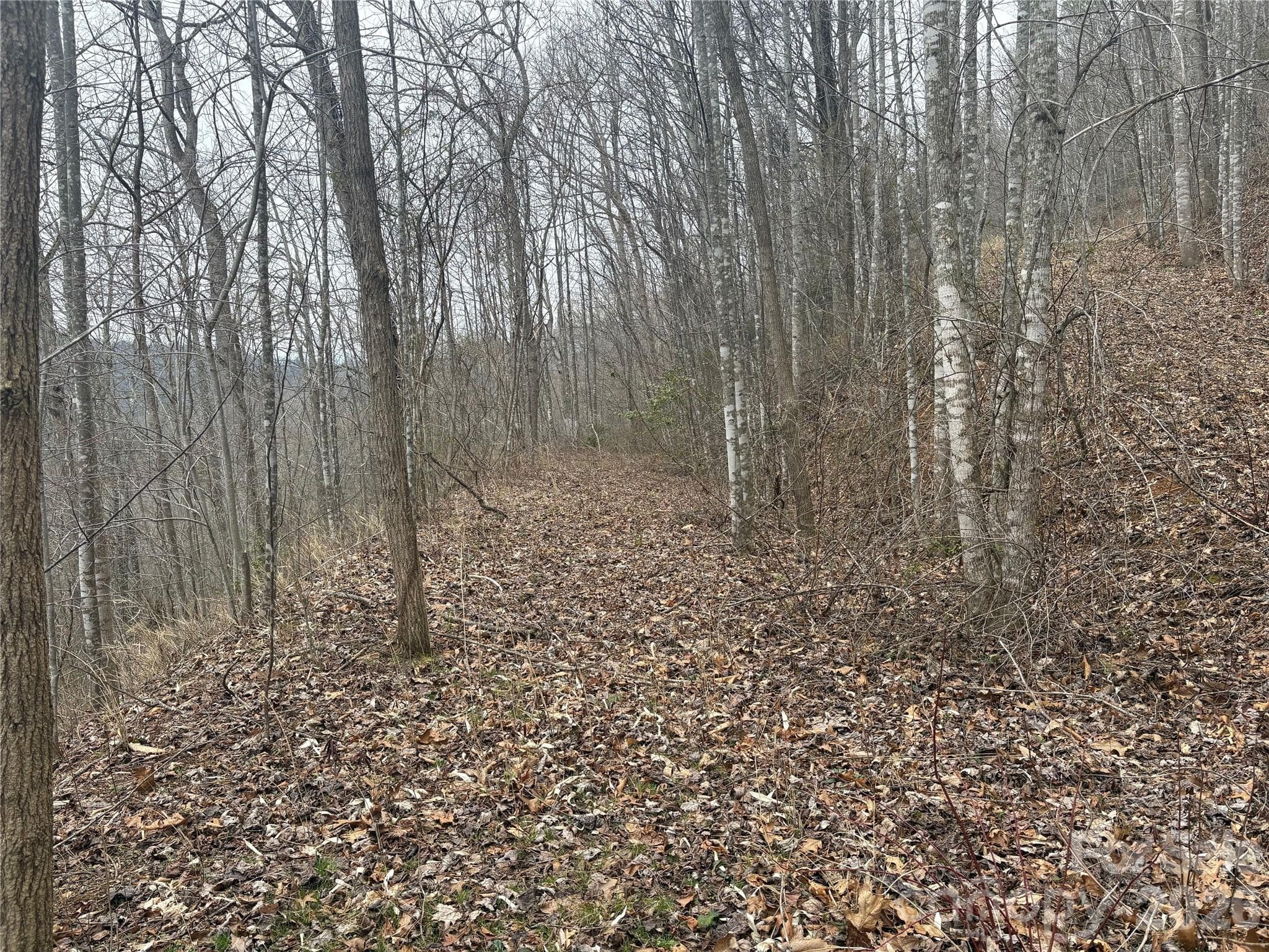 Lot at 00 Country Club Drive, Whittier, photo 14 of 24