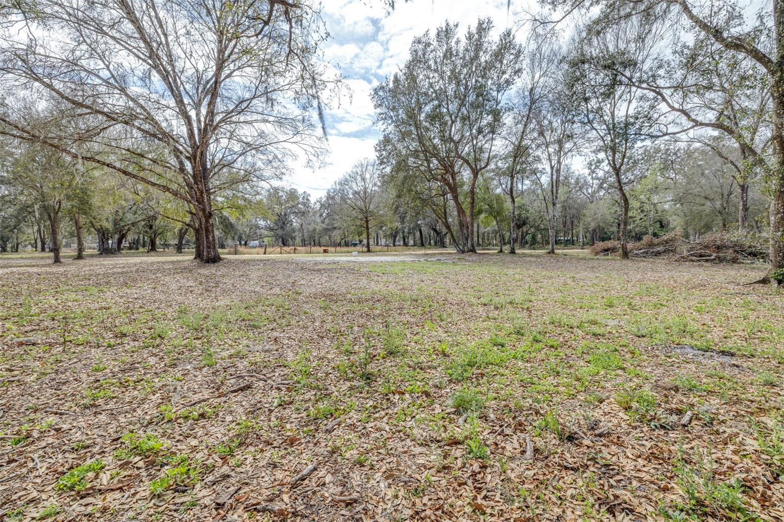 Back of property - SE 124TH AVE, WEBSTER