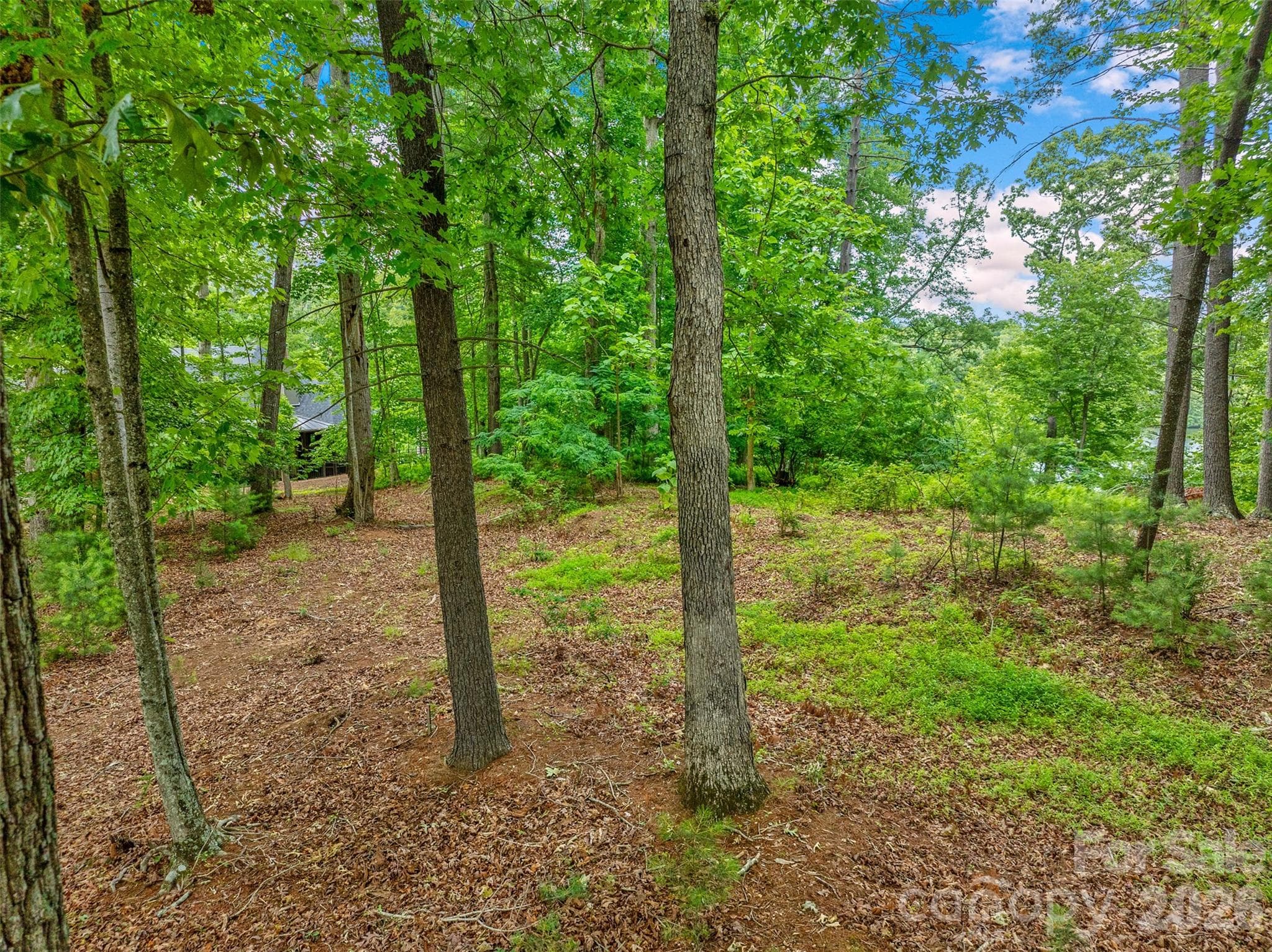 Gentle terrain and lightly wooded - 17 Hendrickson Court, Candler