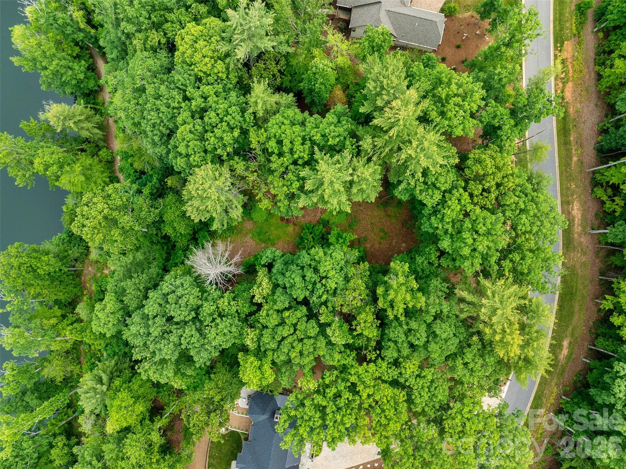 Aerial of the lot - 17 Hendrickson Court, Candler