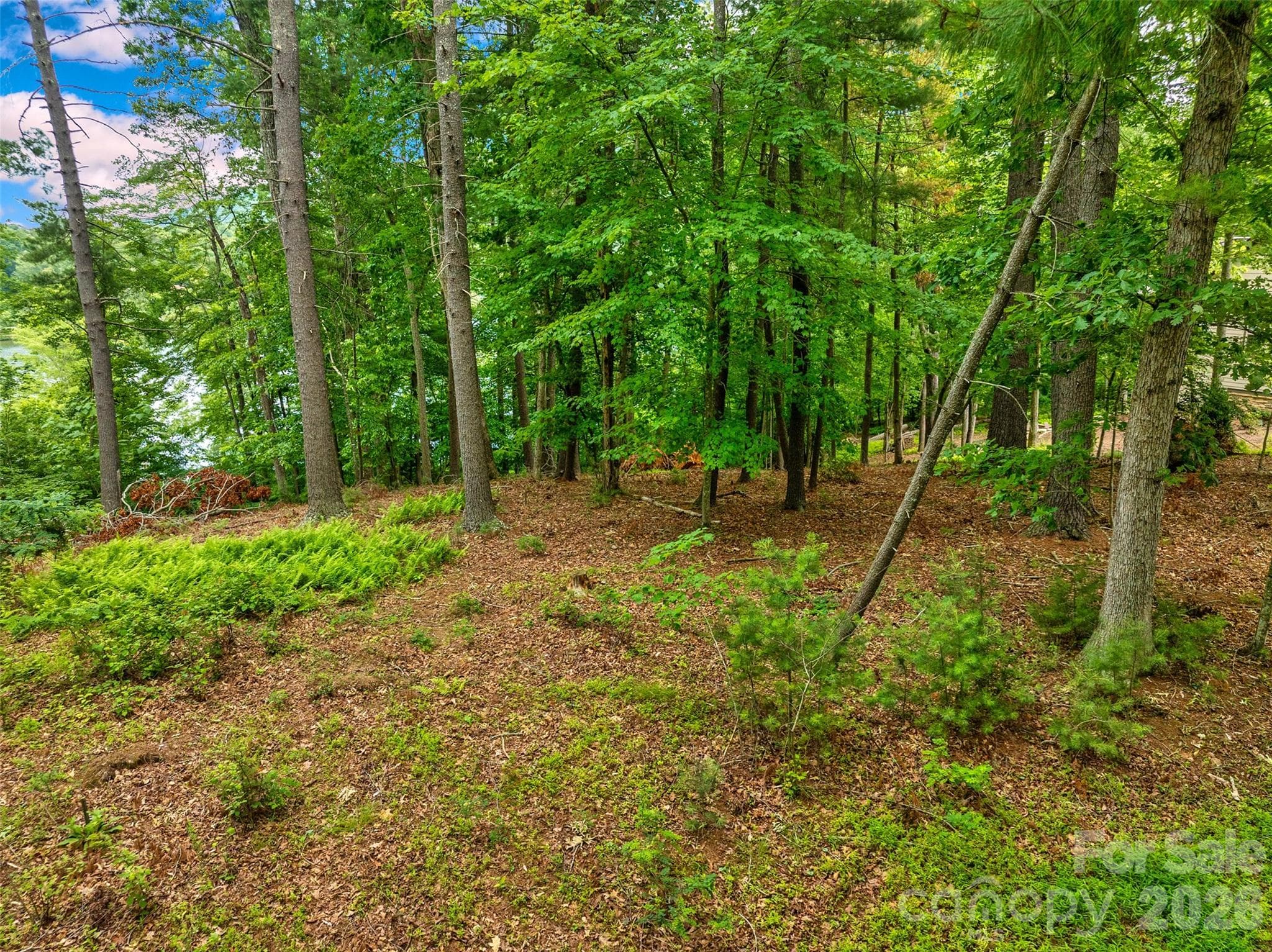 Gentle terrain for building - 17 Hendrickson Court, Candler