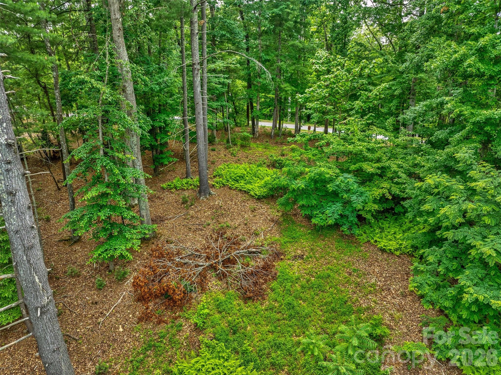 Lot at 17 Hendrickson Court, Candler, photo 12 of 18