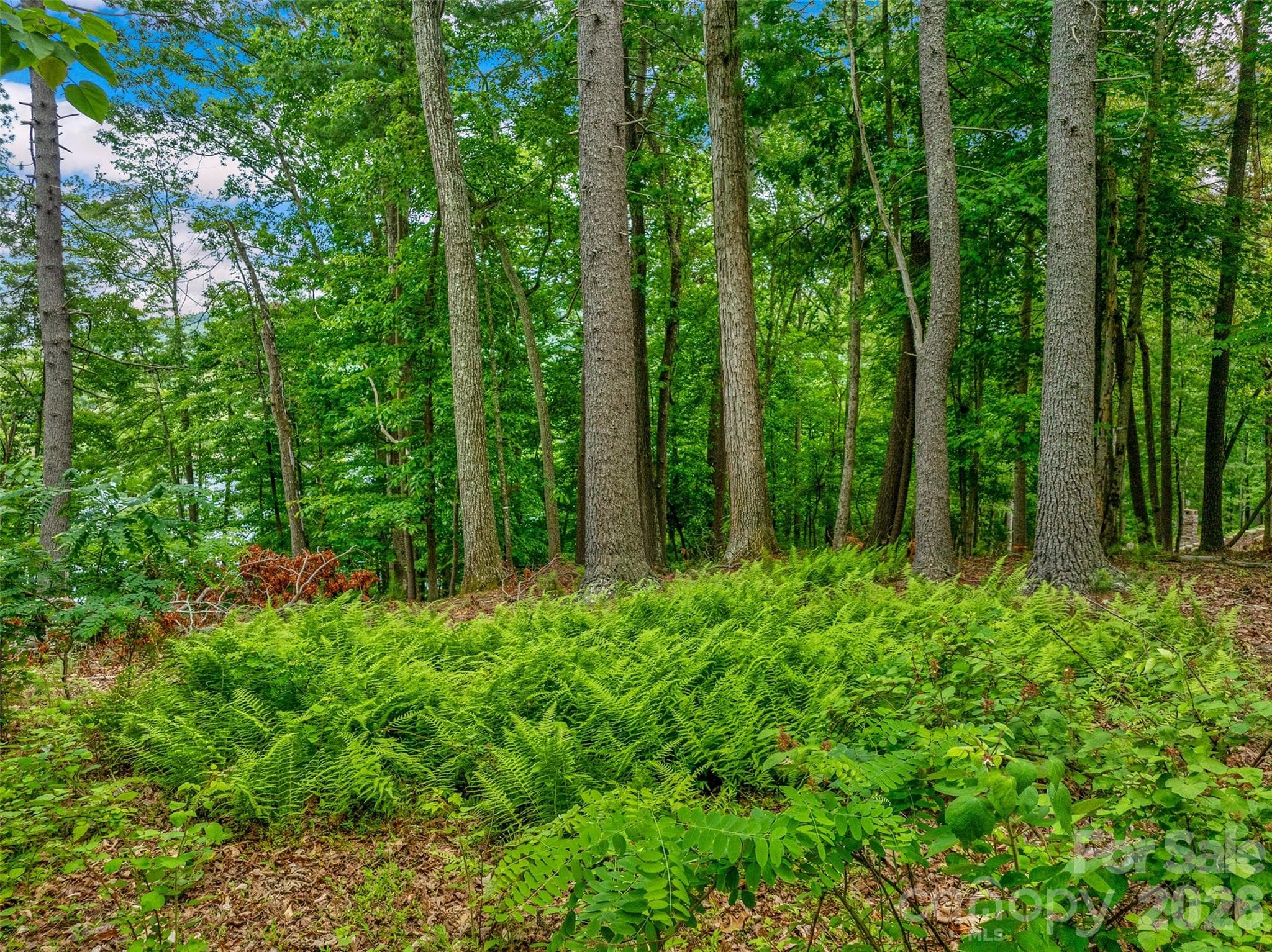 Lot at 17 Hendrickson Court, Candler, photo 13 of 18