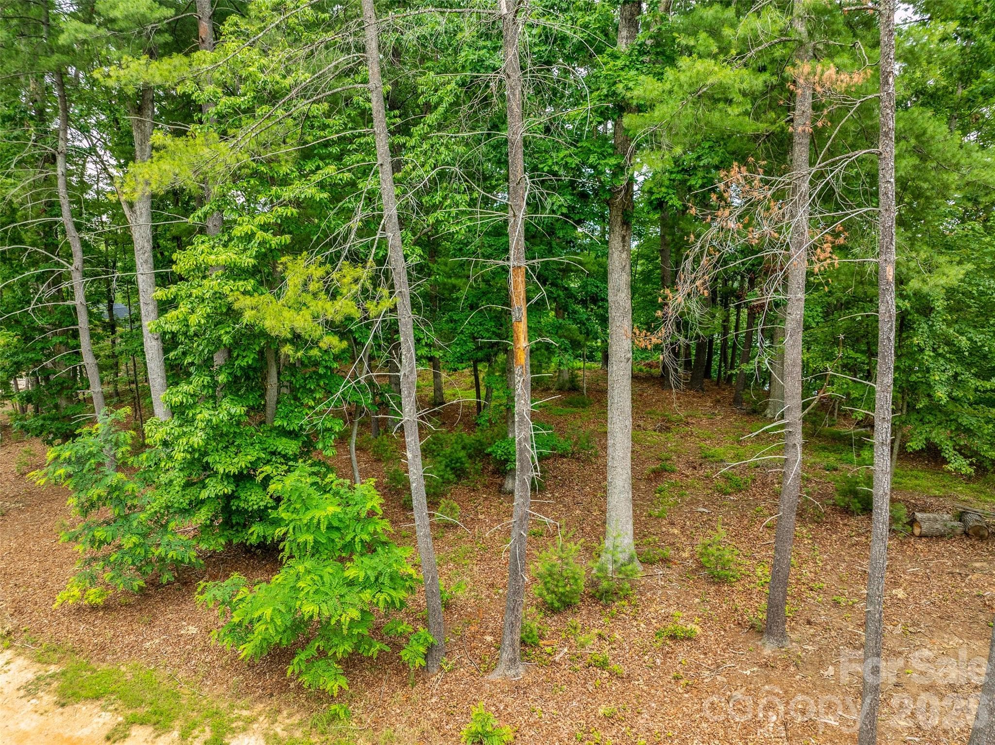 Lot at 17 Hendrickson Court, Candler, photo 14 of 18