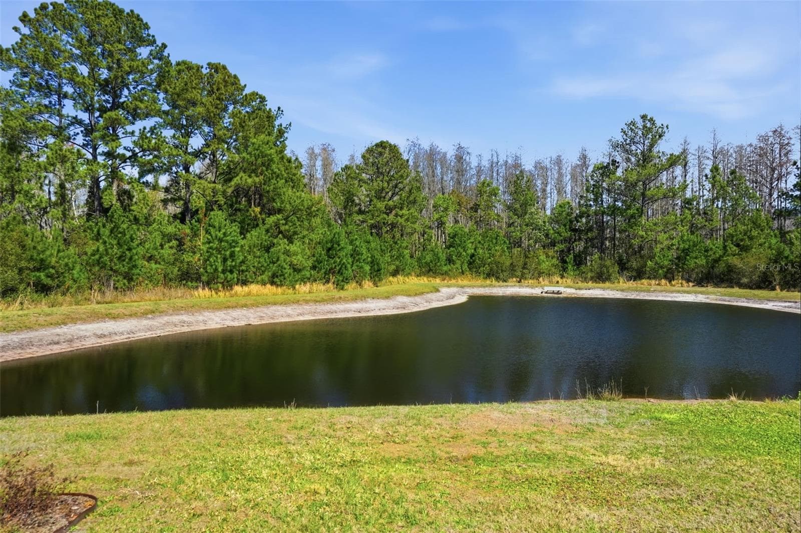 Villa at 18093 TURNING LEAF CIR, LAND O LAKES, photo 35 of 48
