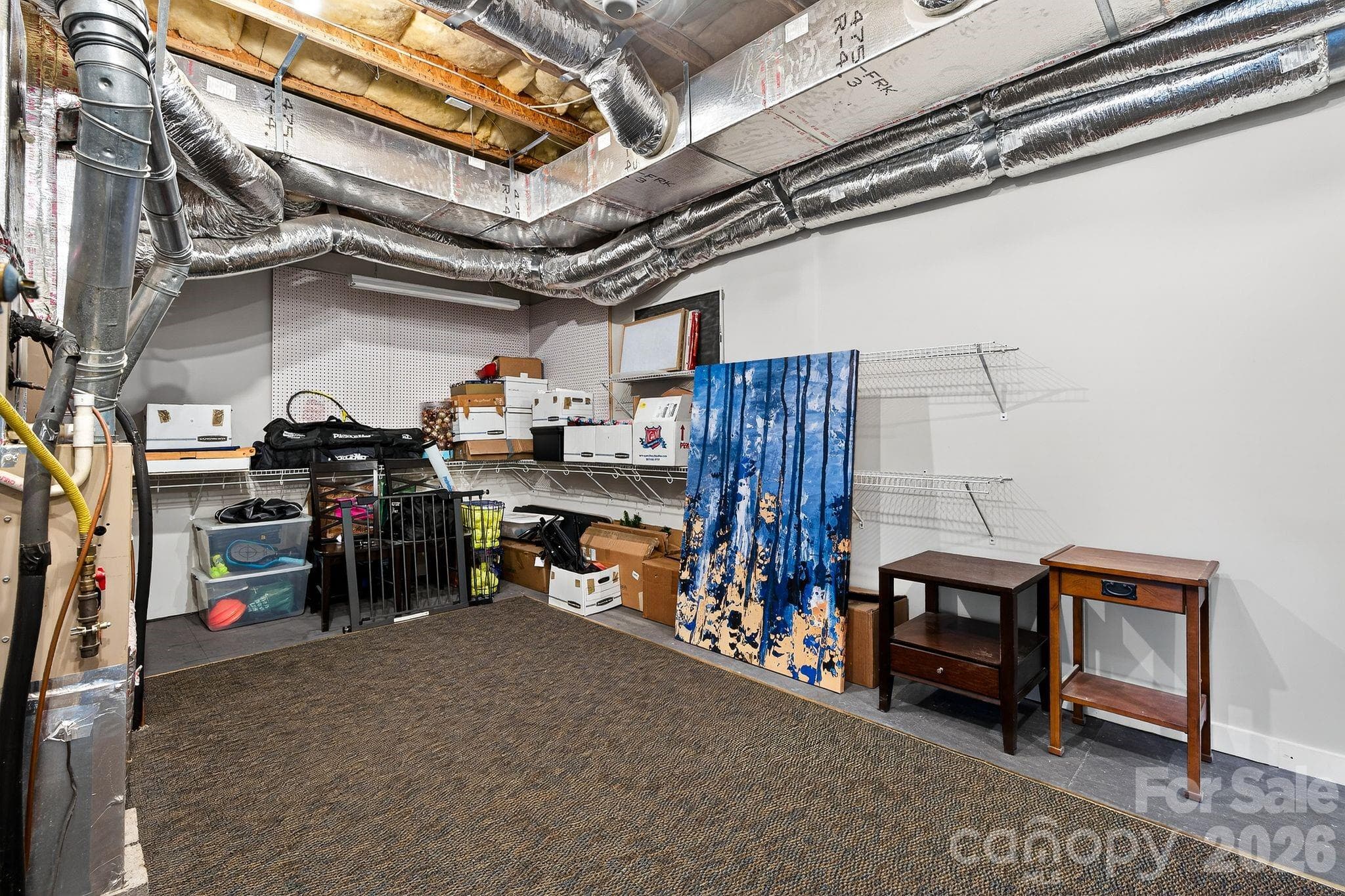 Lower Level storage room - 103 Trumpet Lane, Asheville