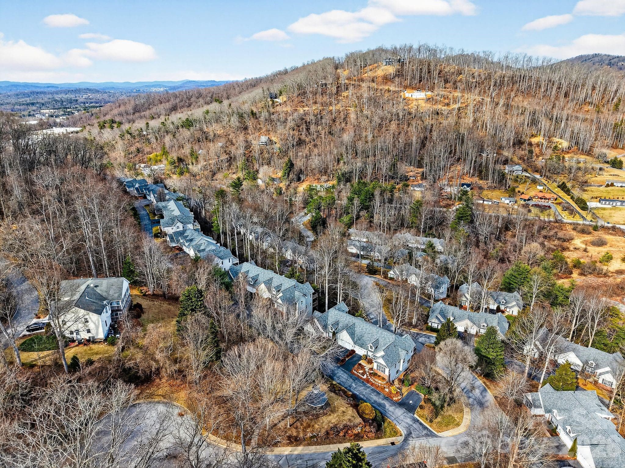 Aerial neighborhood view - 103 Trumpet Lane, Asheville