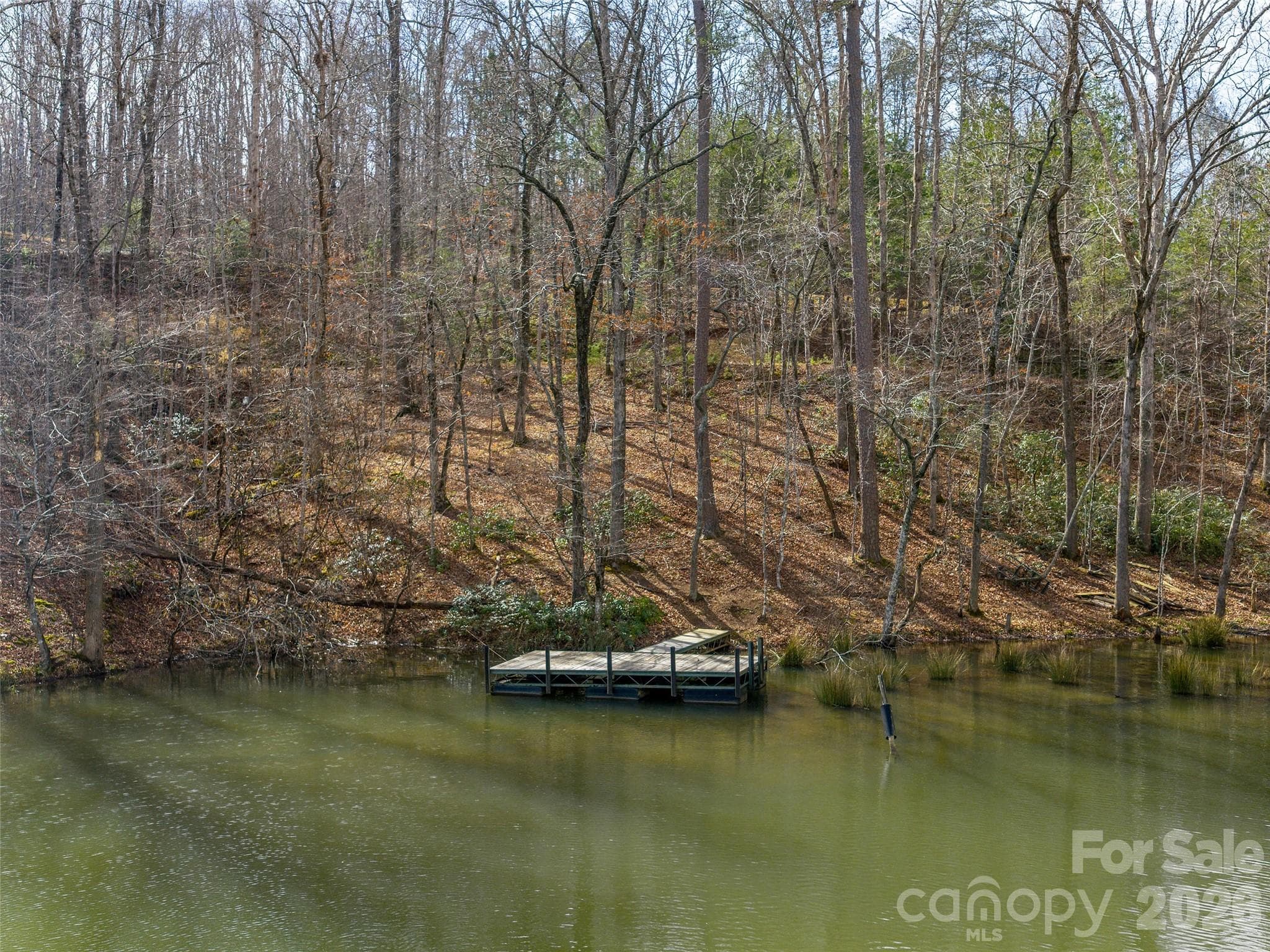 Lot at Mill Spring, photo 2 of 18