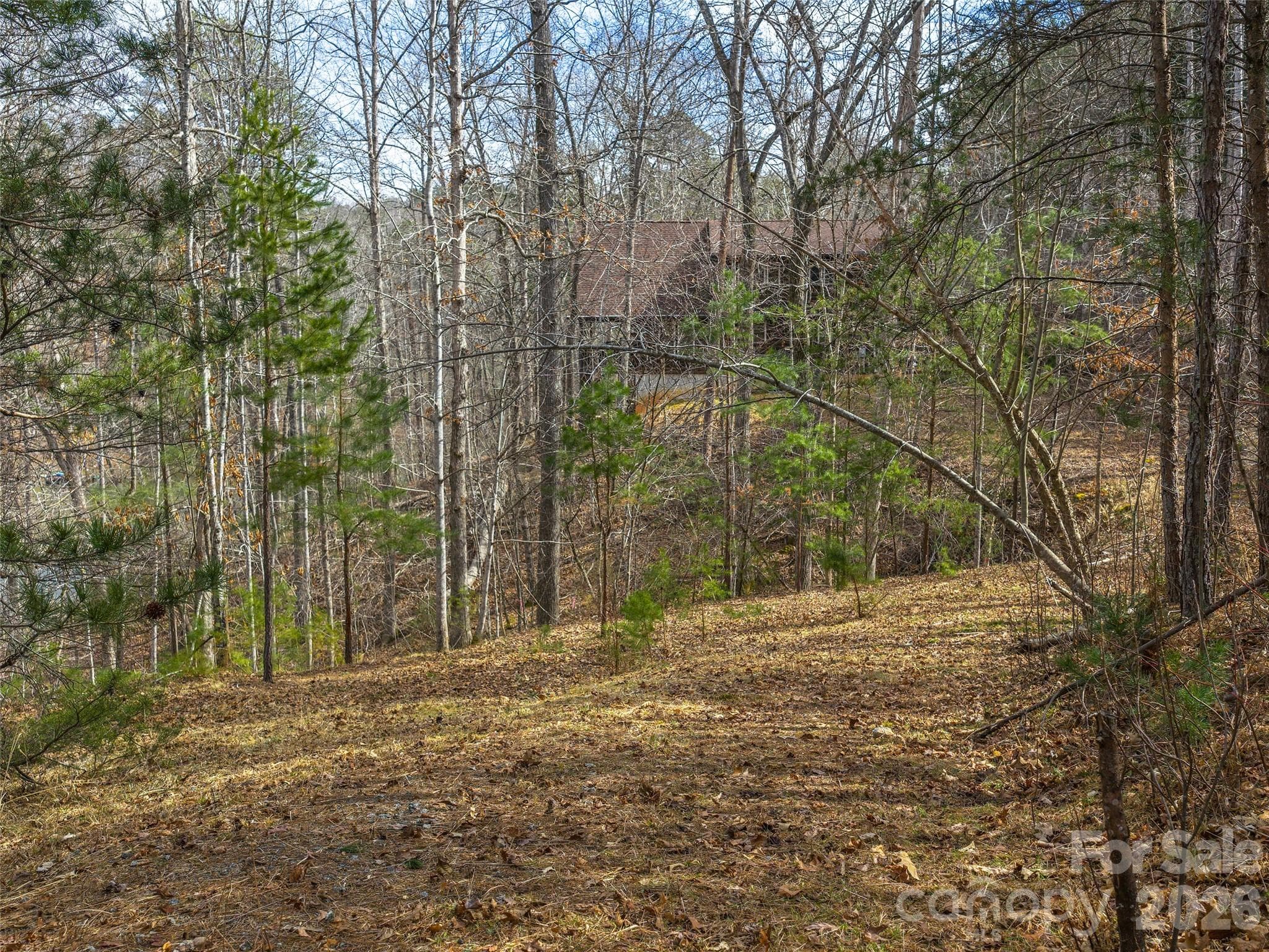Lot at Lots 22 & 23 Lake Adger Parkway, Mill Spring, photo 4 of 18