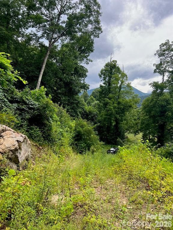 Lot at Waynesville, photo 2 of 11