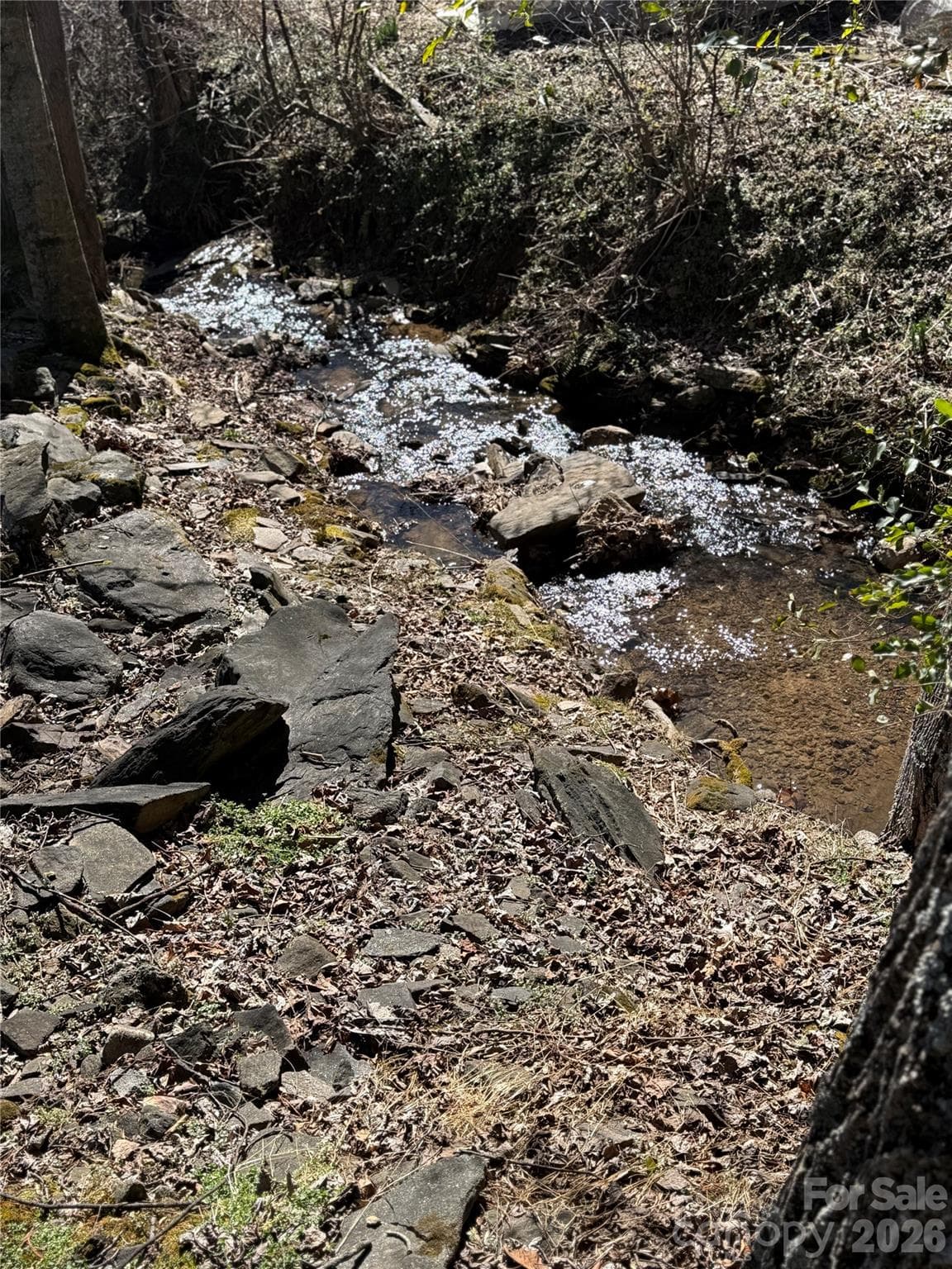 Noisy stream - 215 Pinellas Lane, Waynesville