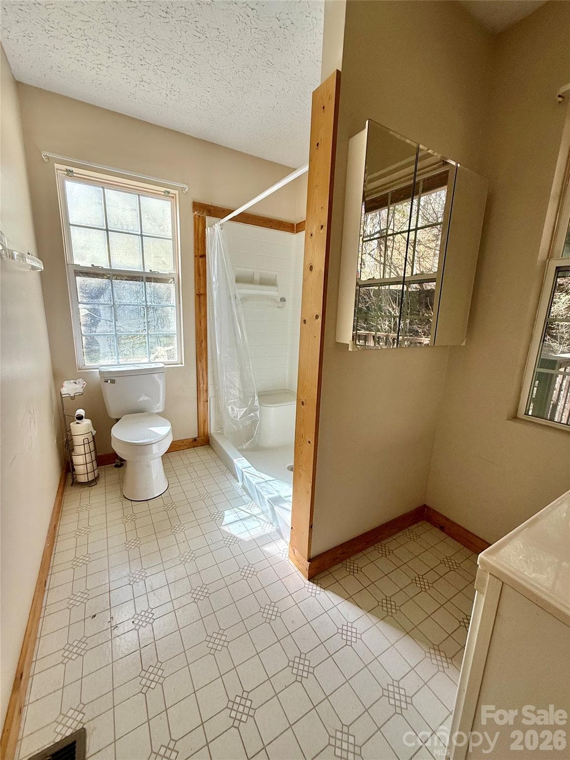 Primary Bathroom - 215 Pinellas Lane, Waynesville