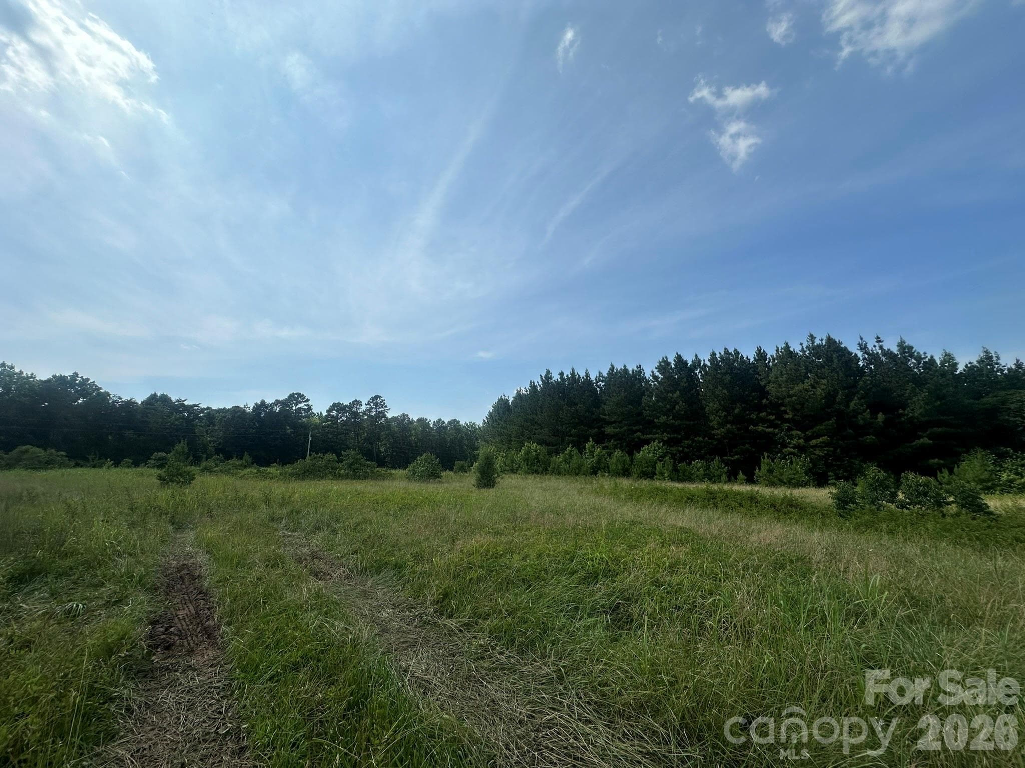 Acreage at 0 HWY 73 Highway, Iron Station, photo 3 of 4