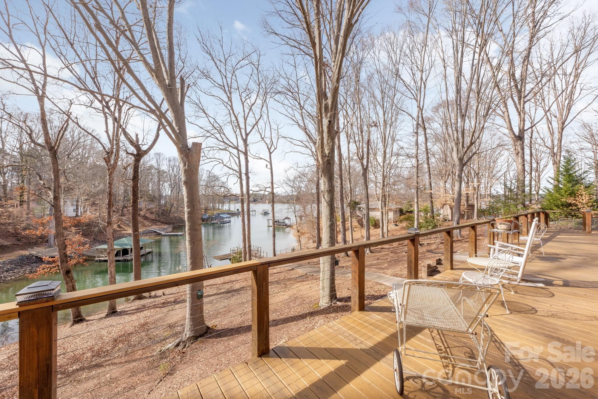 Winter views from the deck - Mooresville