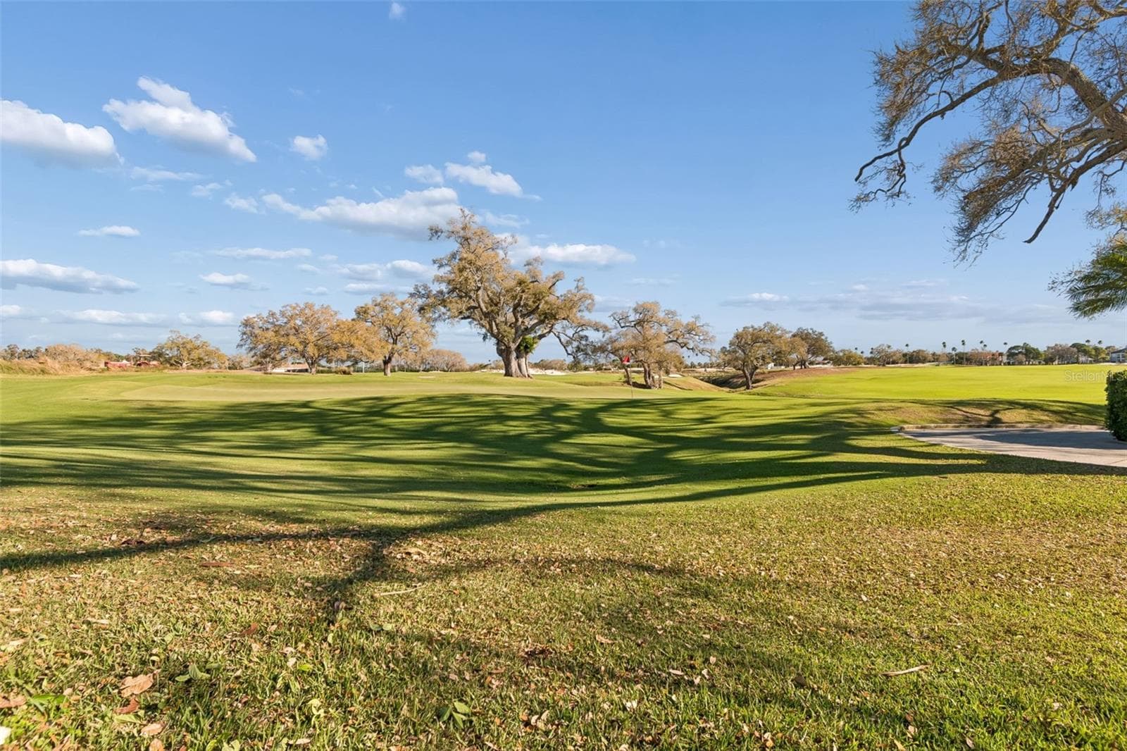 Beautiful! - 4 BELLEVIEW BLVD #701, BELLEAIR