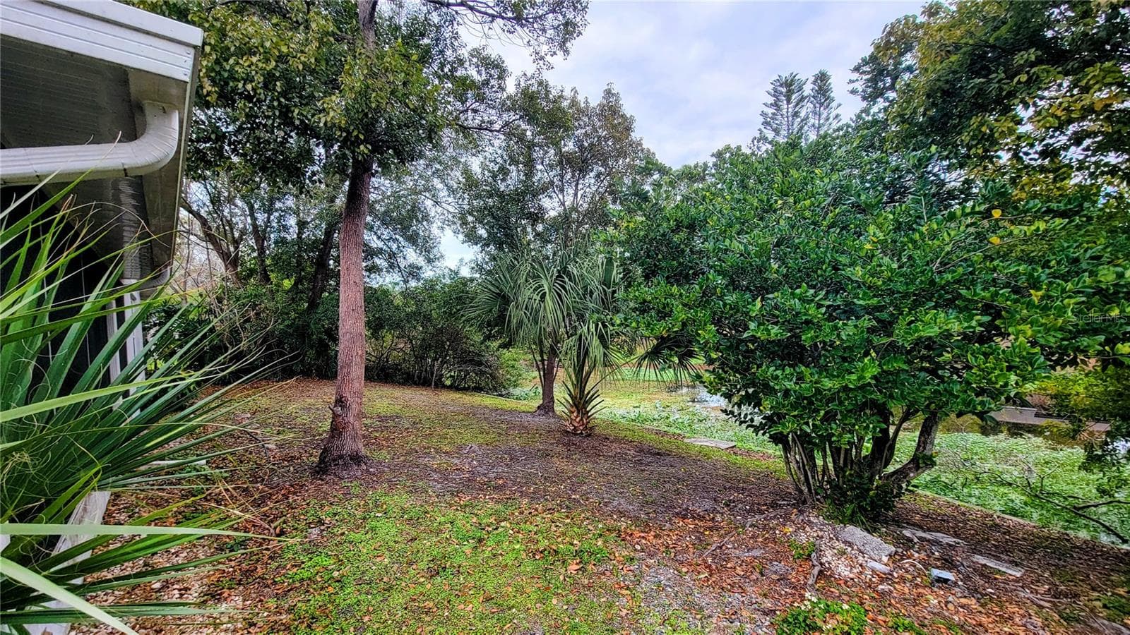 Backyard - 7051 WENTWORTH WAY, NEW PORT RICHEY