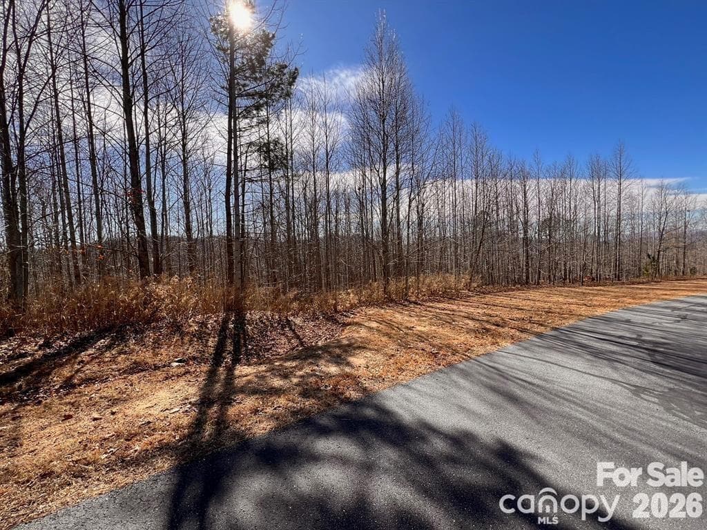 Lot at Nebo, photo 10 of 10