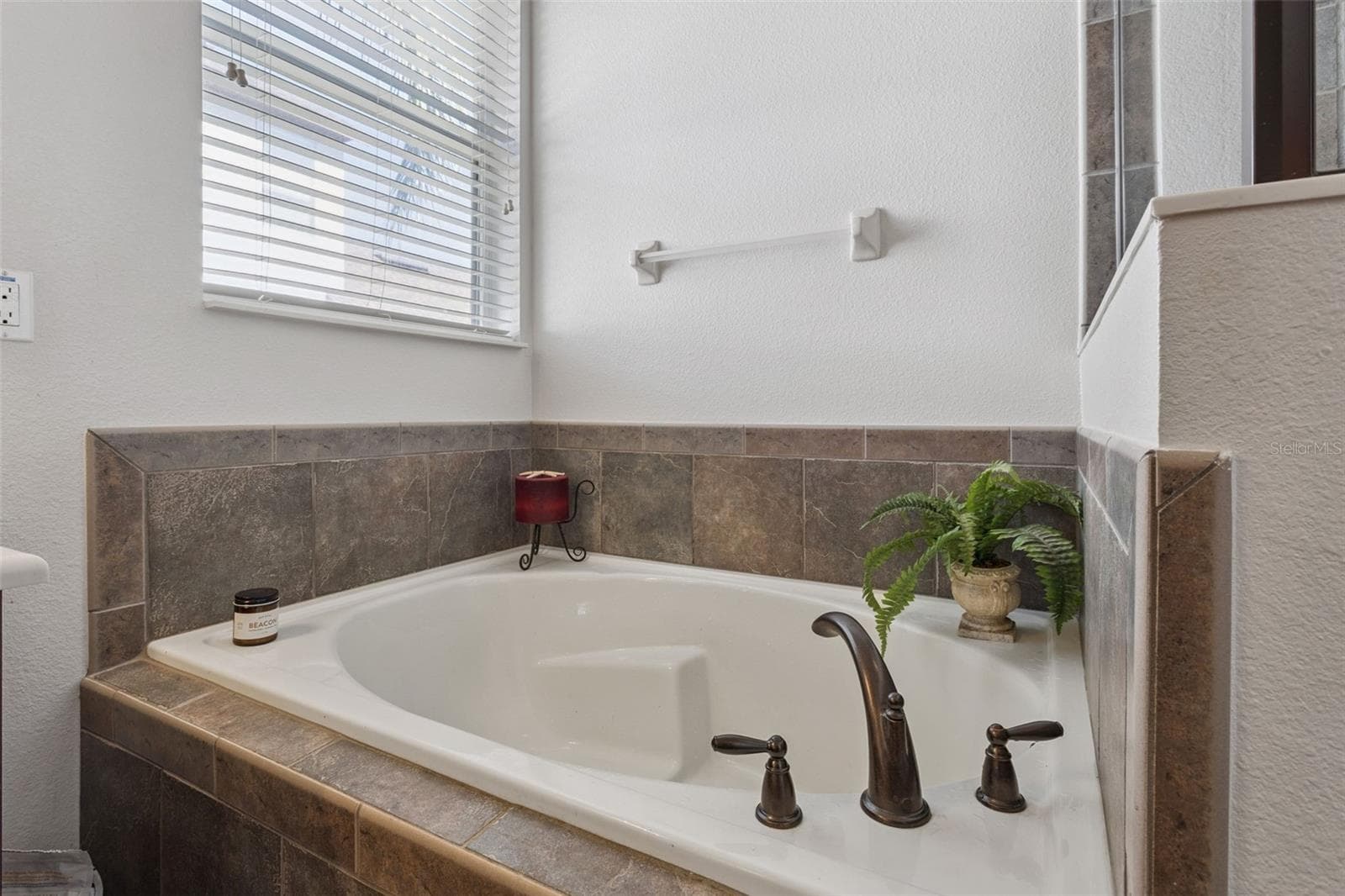 Single Family Residence at 30337 GIDRAN TER, MOUNT DORA, photo 38 of 66