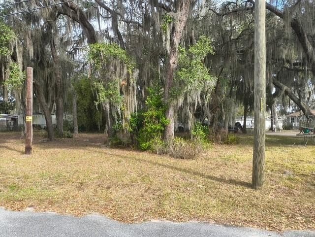 Land at 4734 N APACHE TRL, HERNANDO, photo 5 of 5