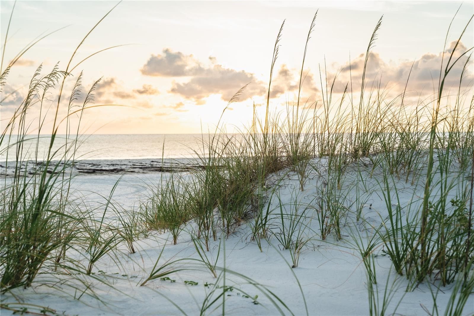 Land at 1817 HIGHWAY 98, MEXICO BEACH, photo 9 of 24