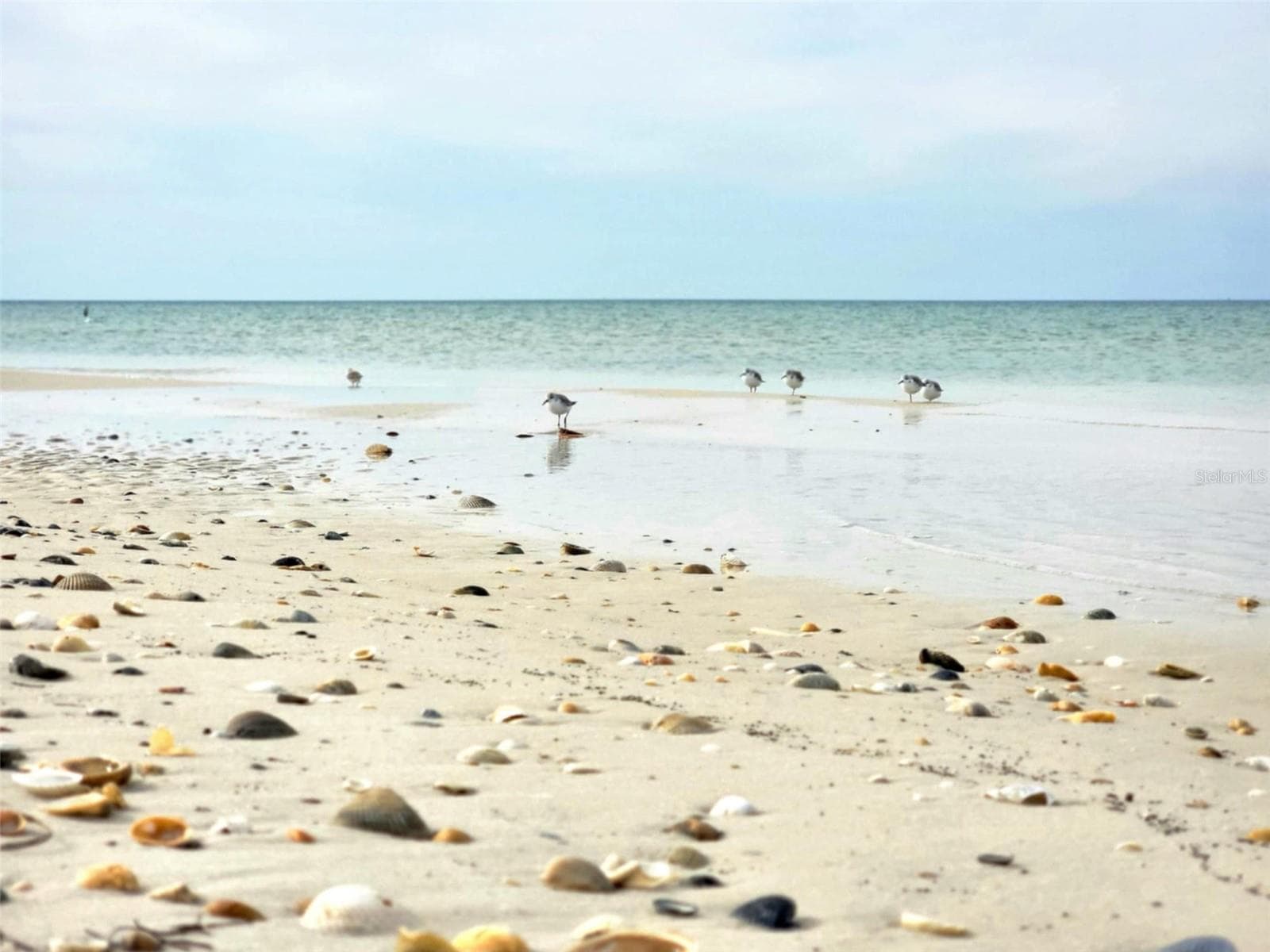Land at 1817 HIGHWAY 98, MEXICO BEACH, photo 12 of 24