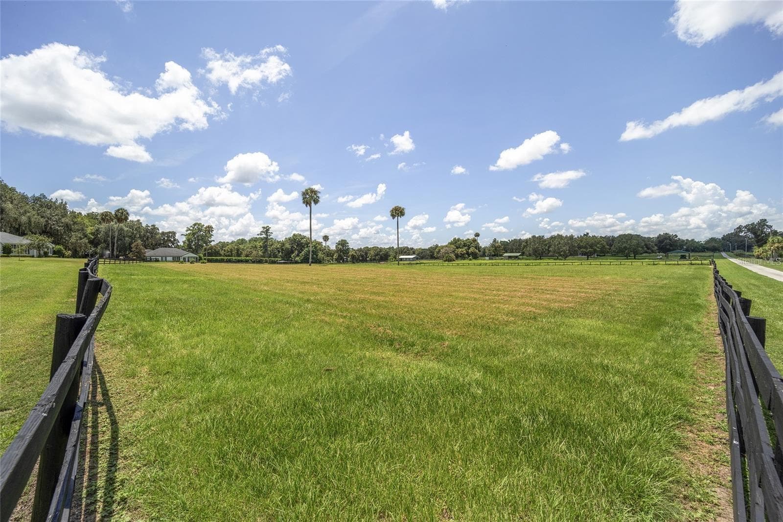 Single Family Residence at 7137 & 7141 S MAGNOLIA AVE, OCALA, photo 65 of 91