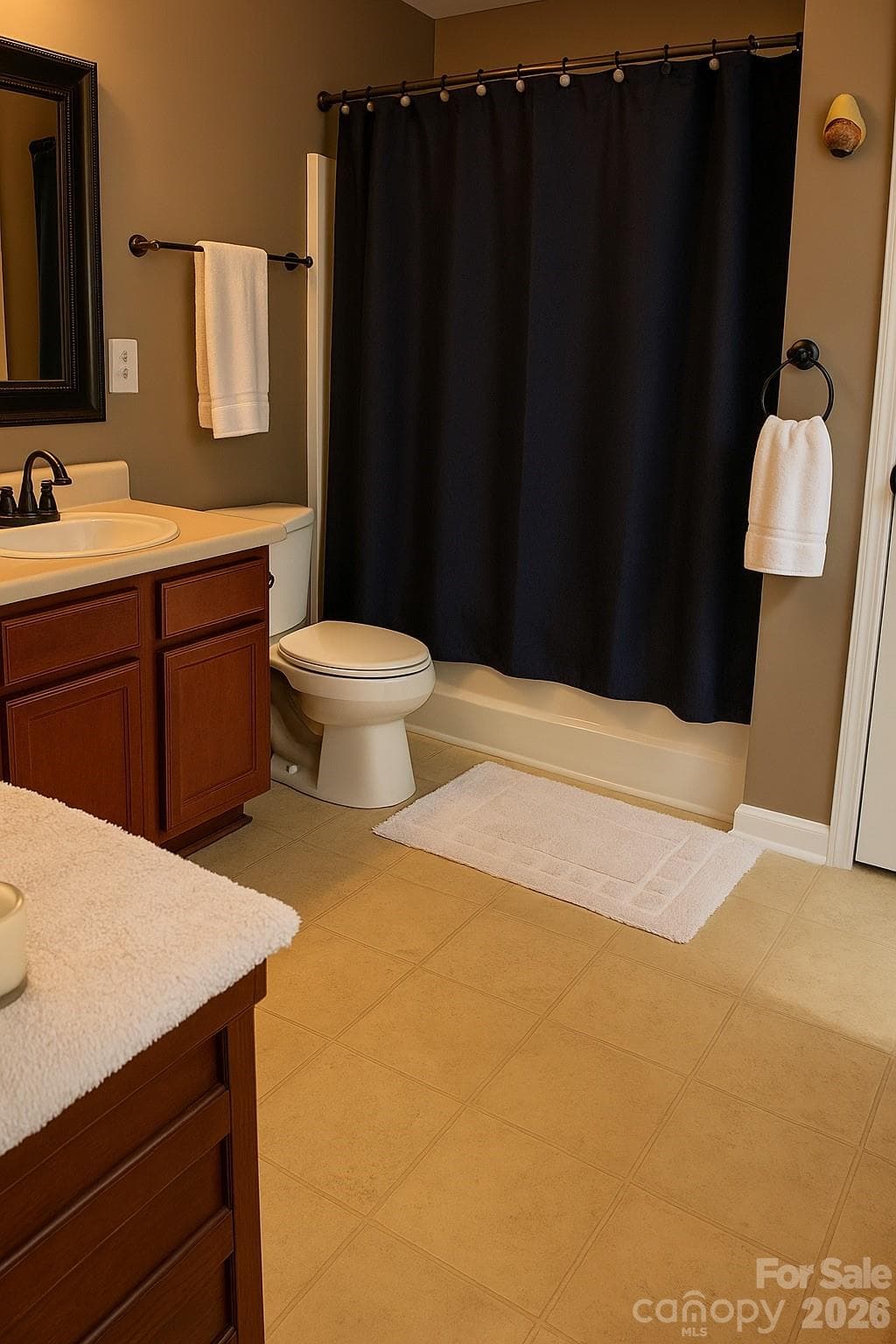 Primary bath - 6639 Ruth Ferrell Court, Charlotte