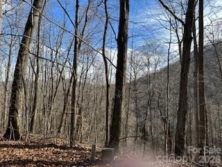 Lot at 19 Blairstone Lane, Maggie Valley, photo 6 of 6