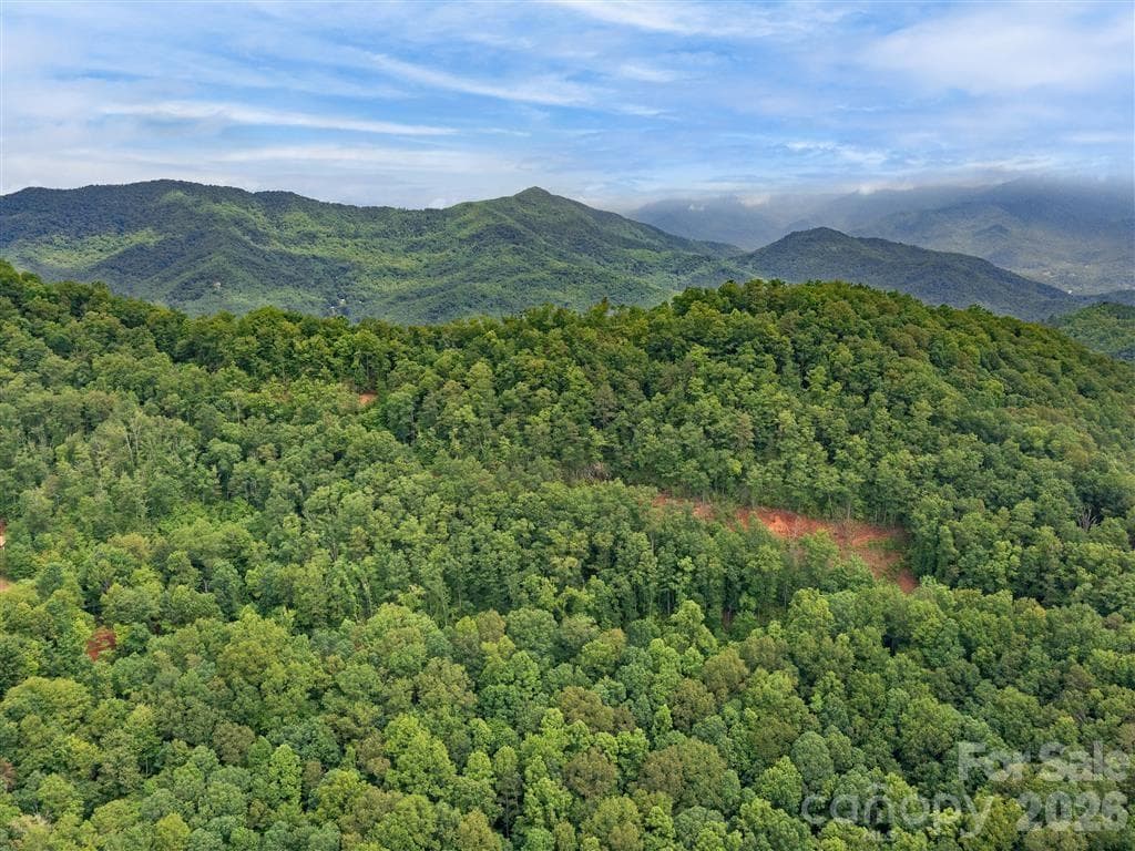 Take in that fresh air! - Sylva