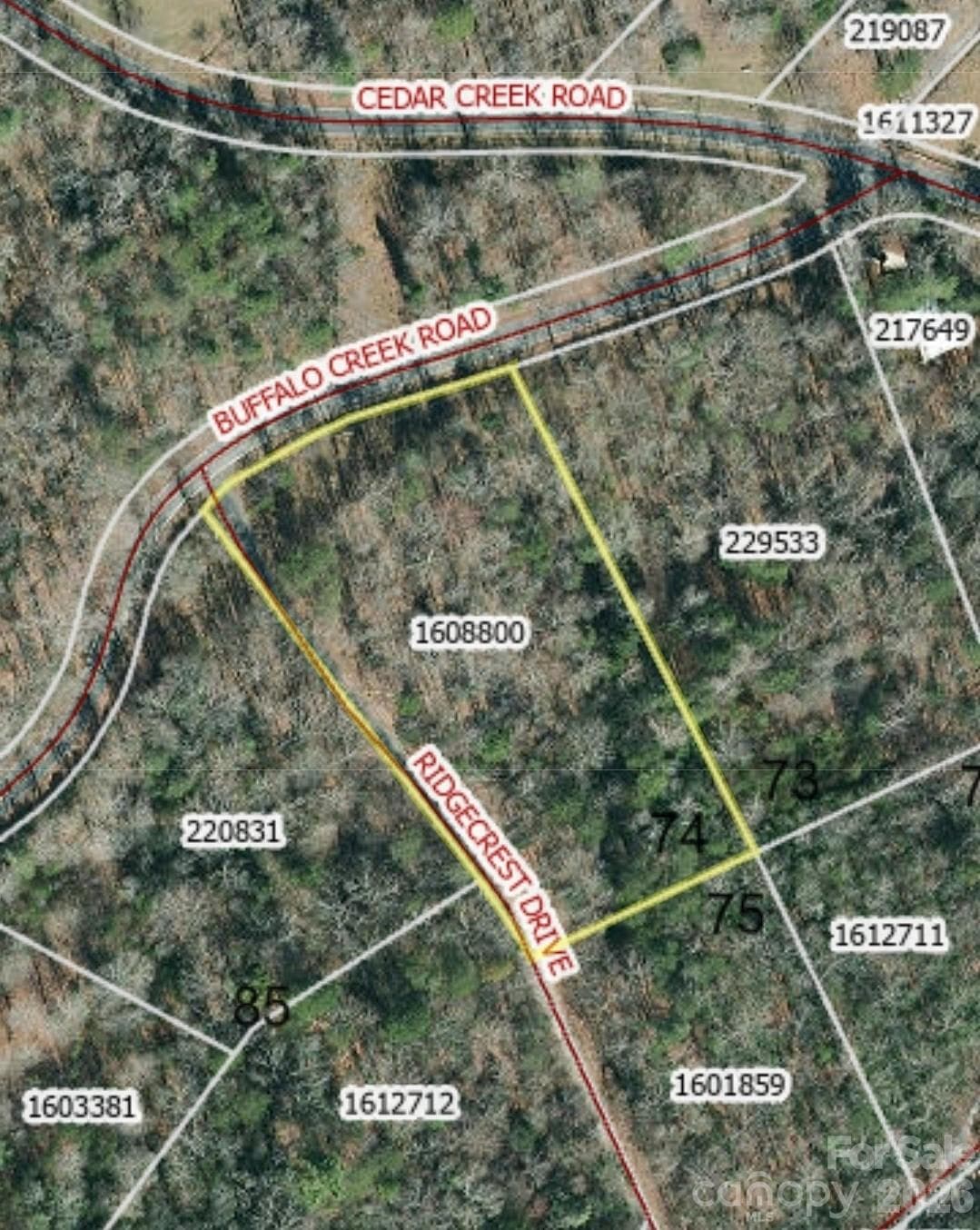 Easy access to Cedar Creek Rd to Black Mountain or Rumbling Bald Resort & Golf  Courses - Lake Lure