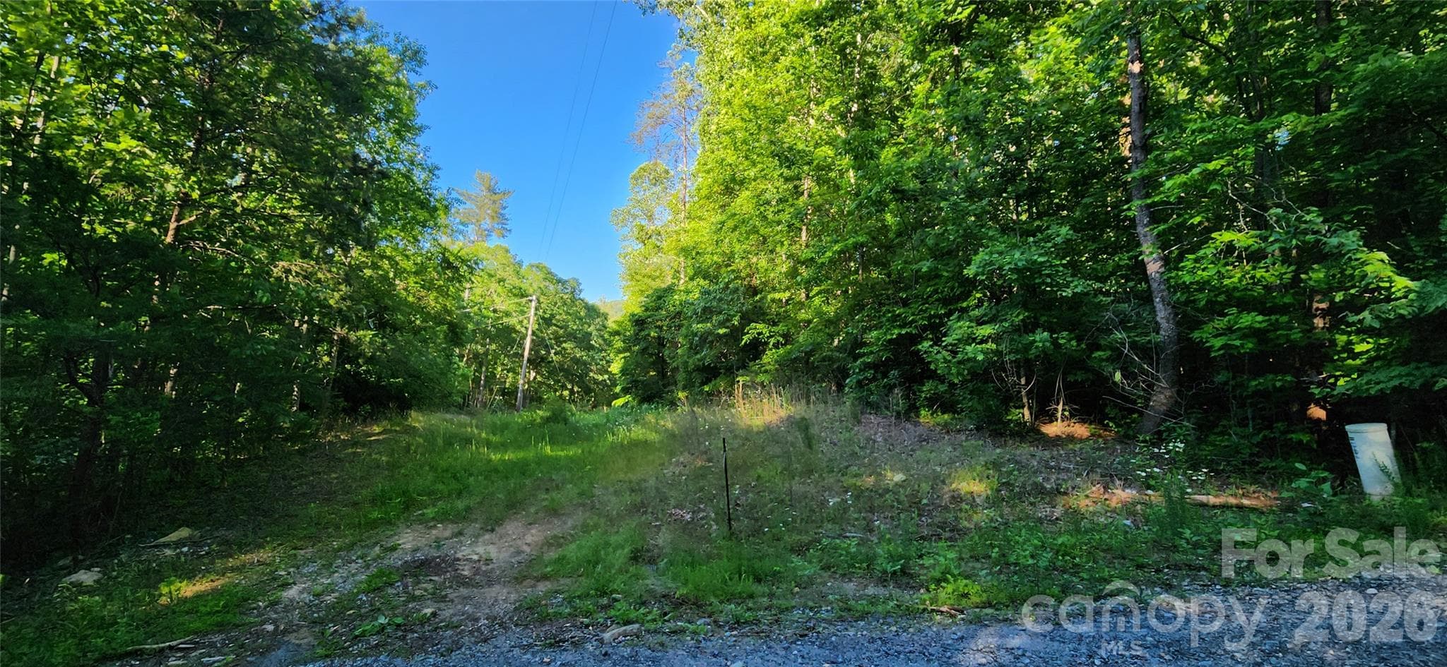 Level Building Site front of Lot. Perk with 3 Bedroom Septic & Well Permit. - Lake Lure