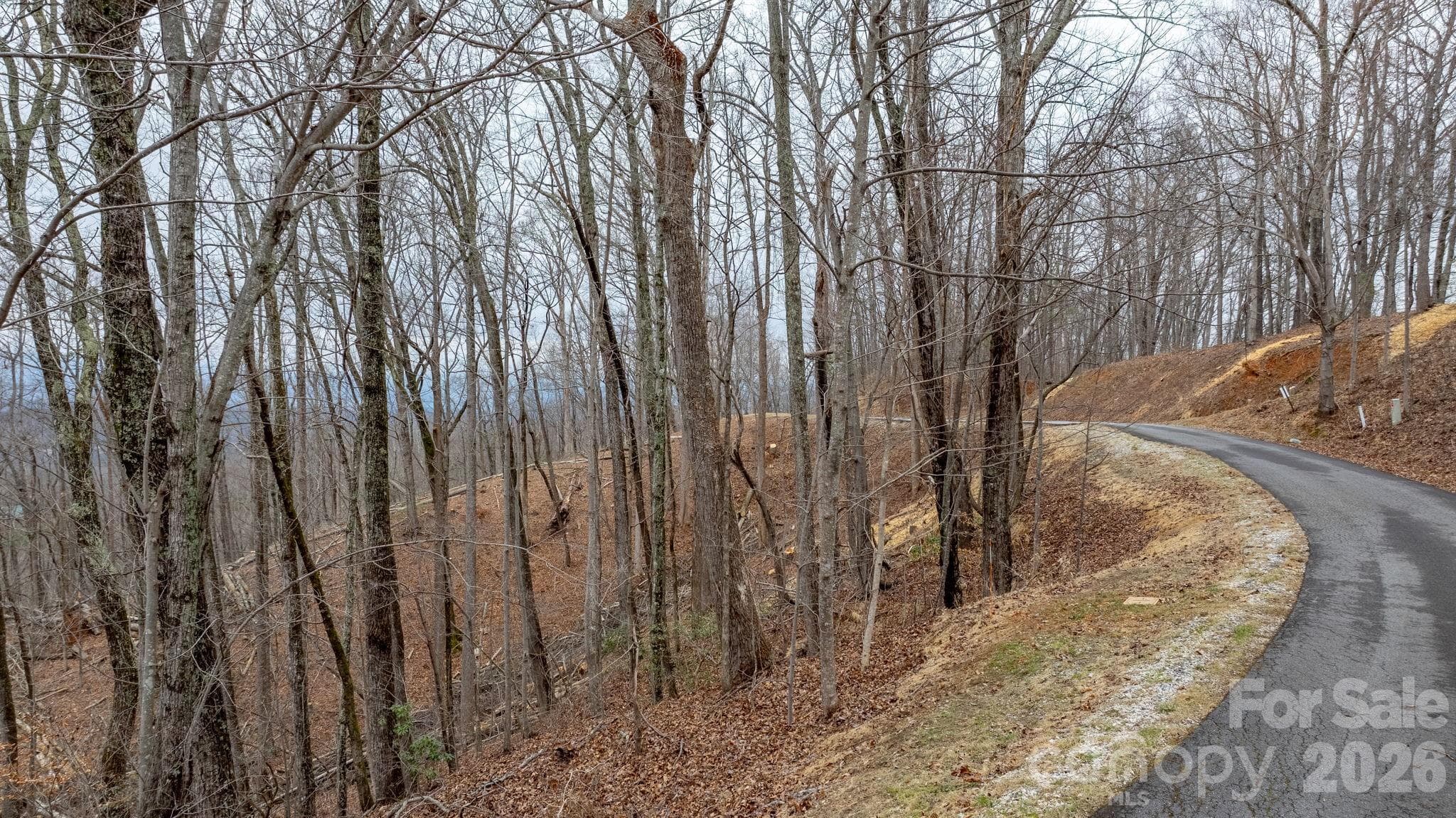 Lot at 0 Mountain Crest Drive S, Marion, photo 2 of 31