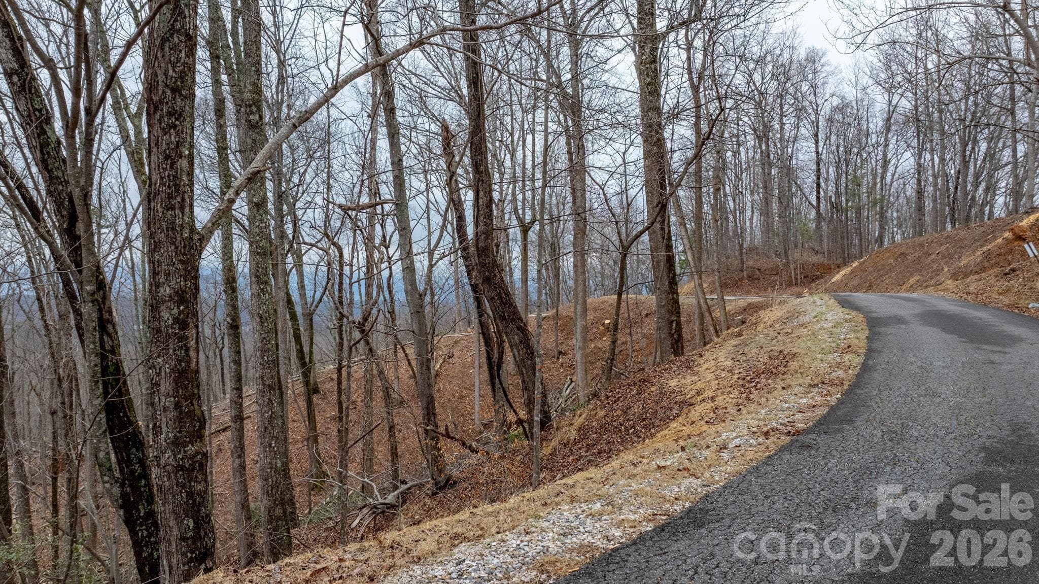 Lot at 0 Mountain Crest Drive S, Marion, photo 3 of 31