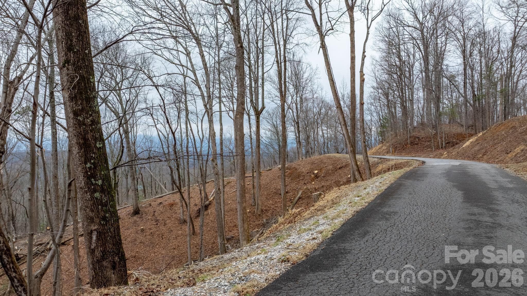 Lot at 0 Mountain Crest Drive S, Marion, photo 4 of 31