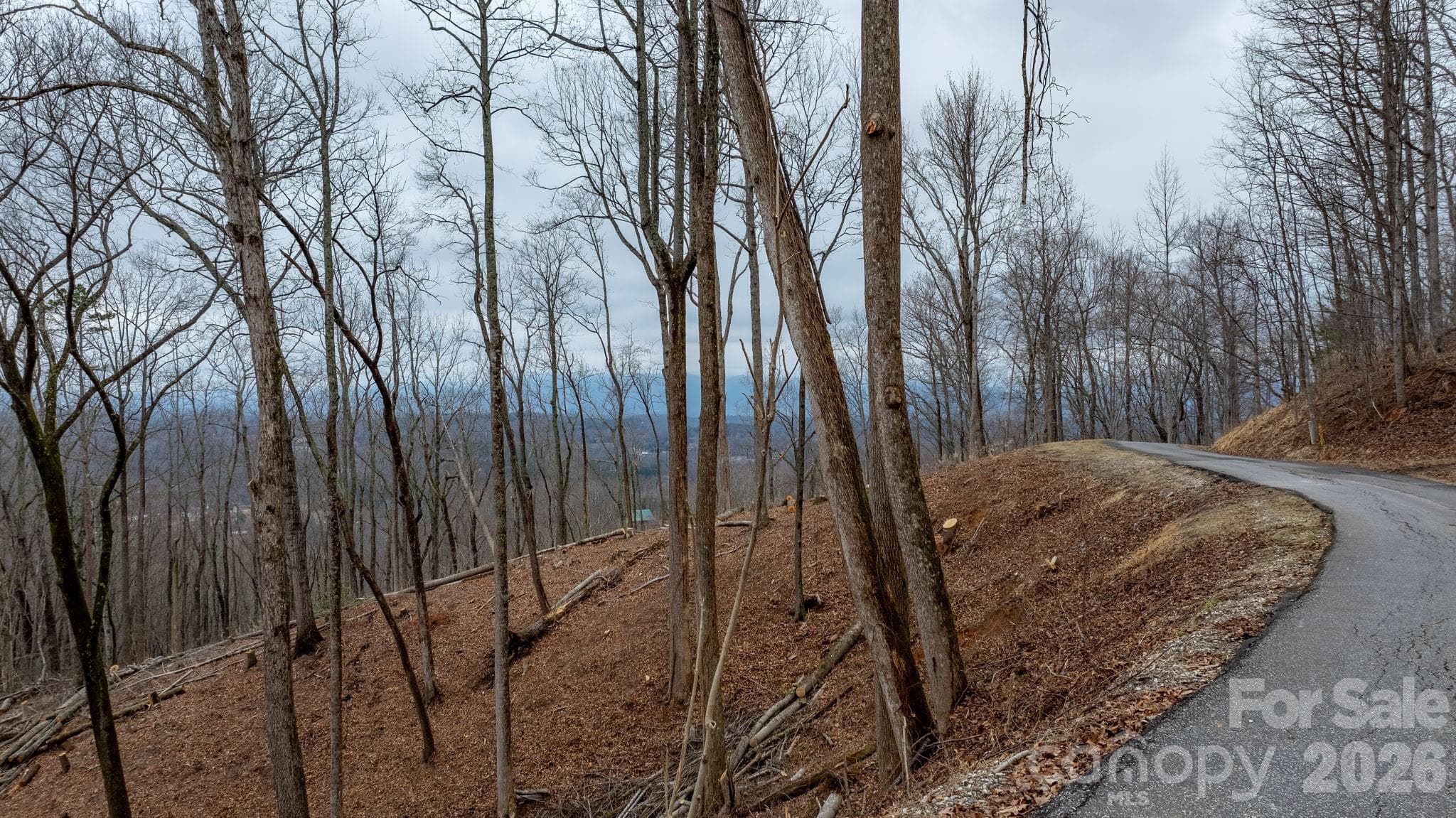 Lot at 0 Mountain Crest Drive S, Marion, photo 5 of 31