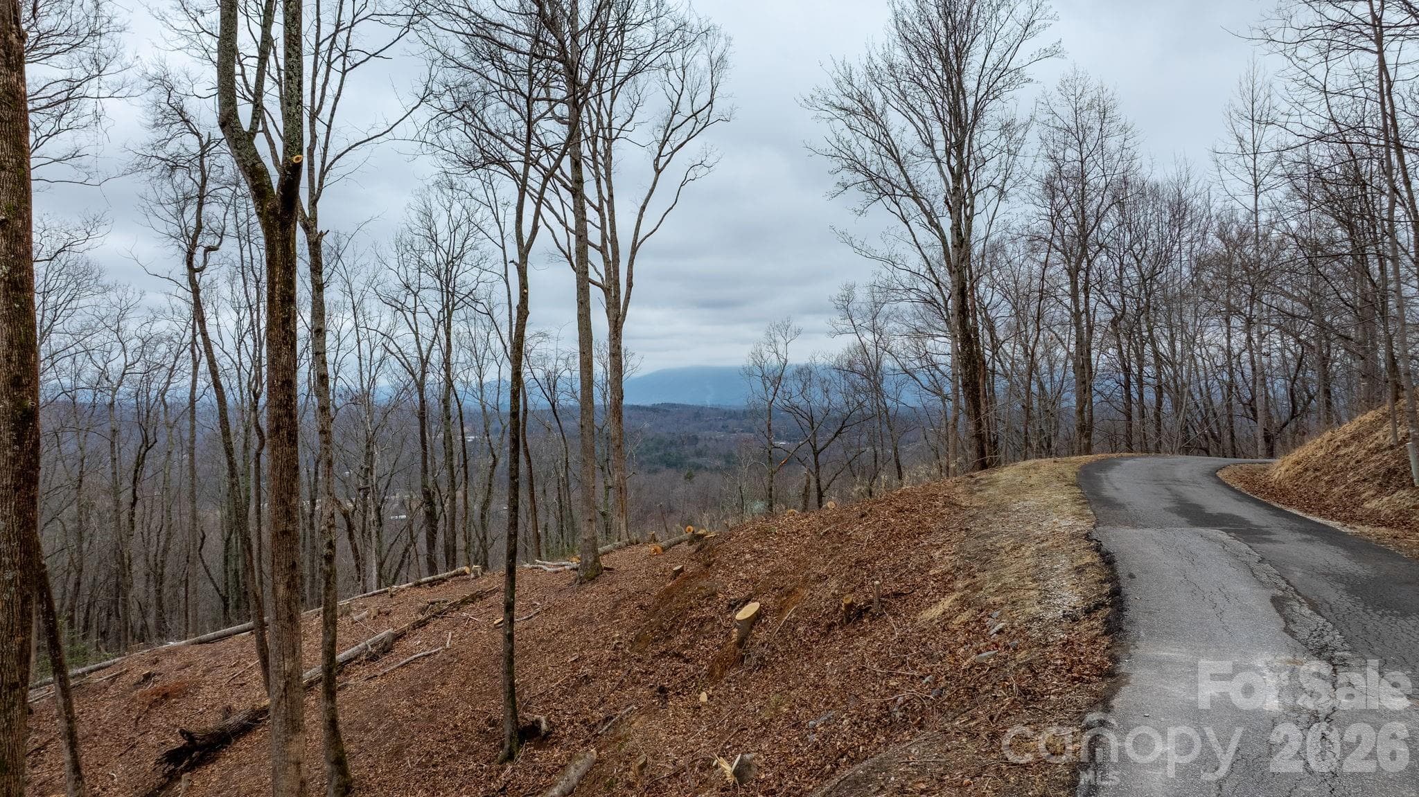 Lot at 0 Mountain Crest Drive S, Marion, photo 6 of 31