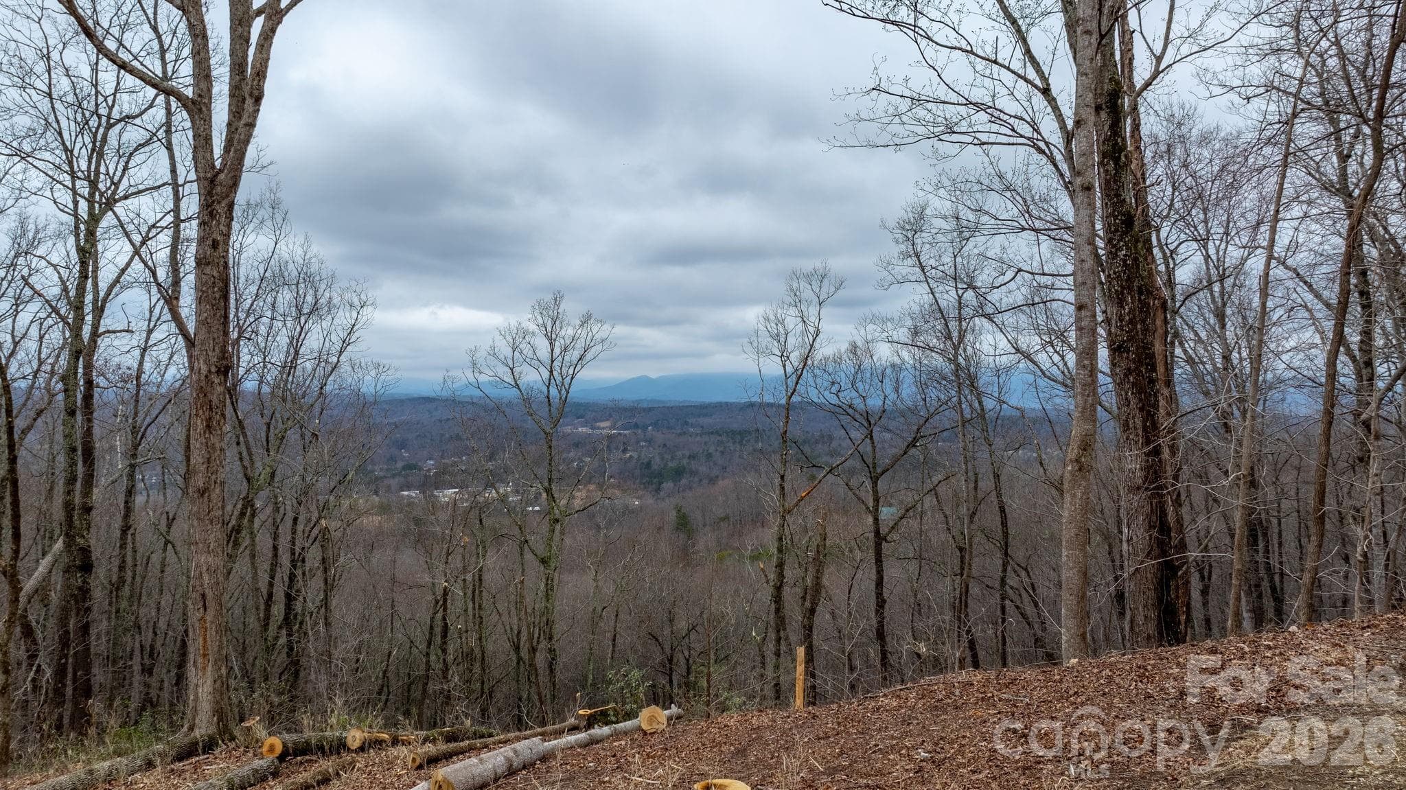 Lot at 0 Mountain Crest Drive S, Marion, photo 8 of 31