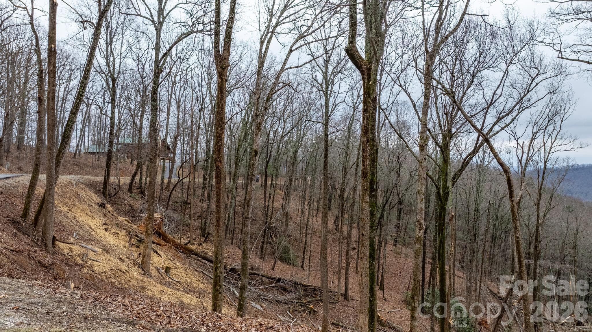 Lot at 0 Mountain Crest Drive S, Marion, photo 9 of 31