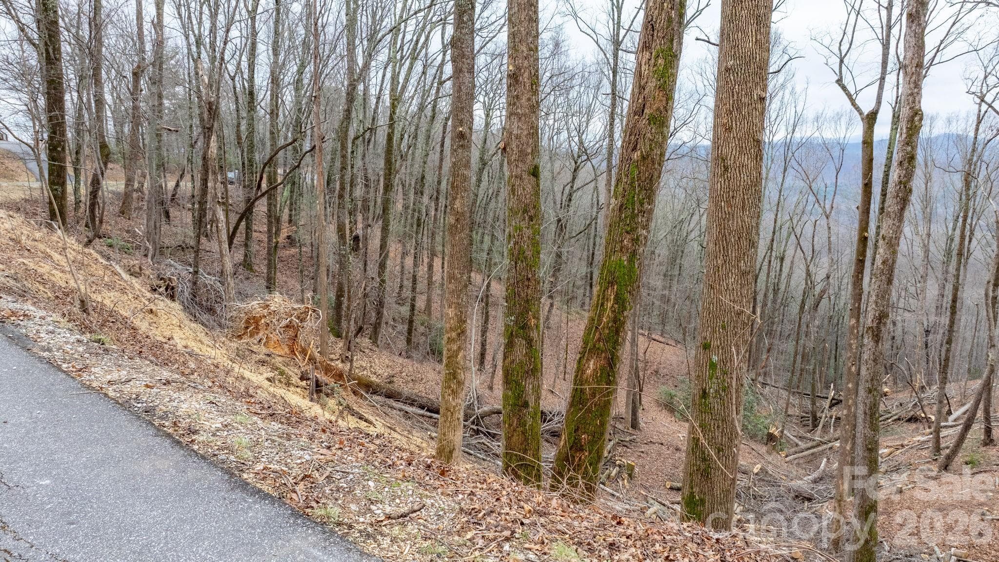 Lot at 0 Mountain Crest Drive S, Marion, photo 11 of 31