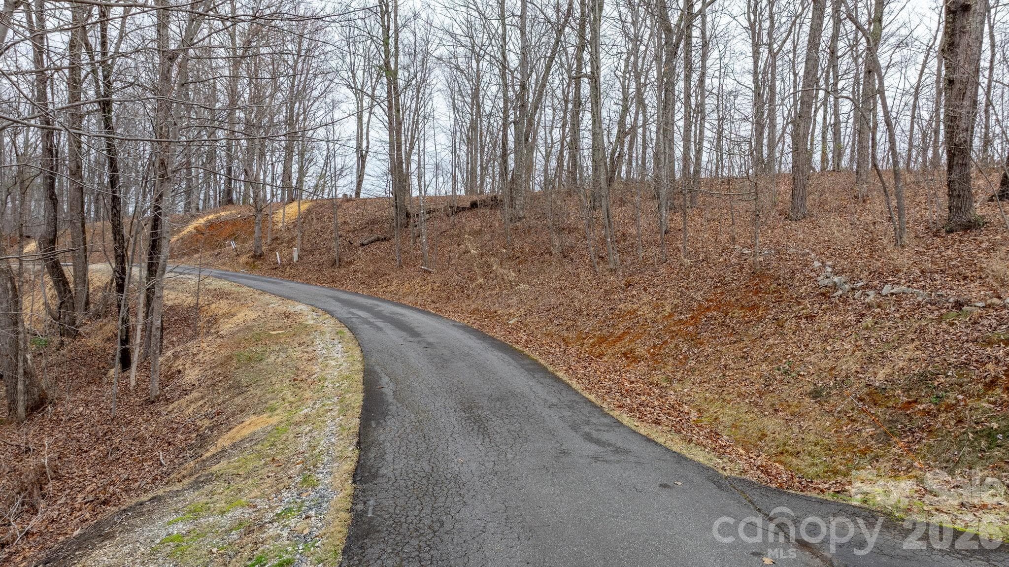 Lot at 0 Mountain Crest Drive S, Marion, photo 2 of 27