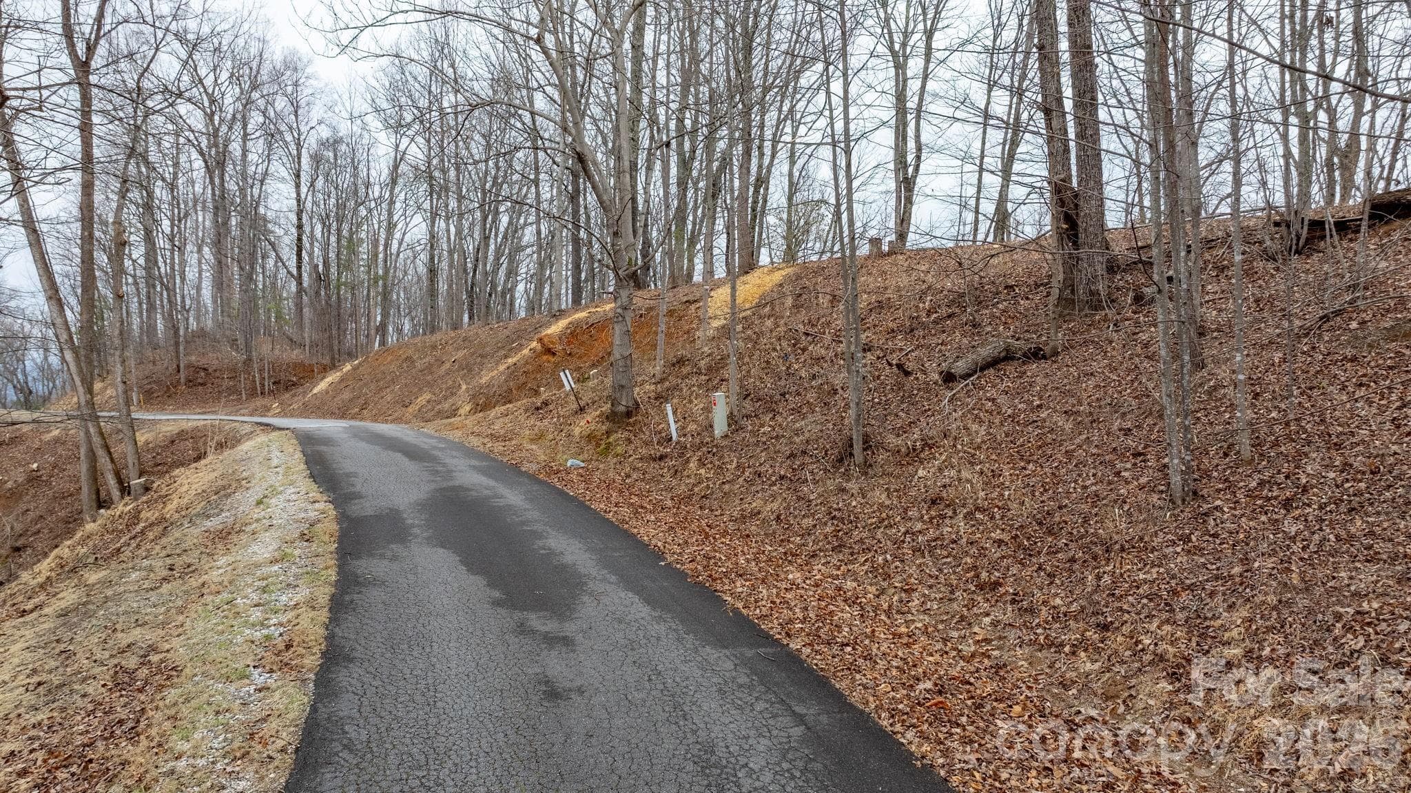 Lot at 0 Mountain Crest Drive S, Marion, photo 4 of 27