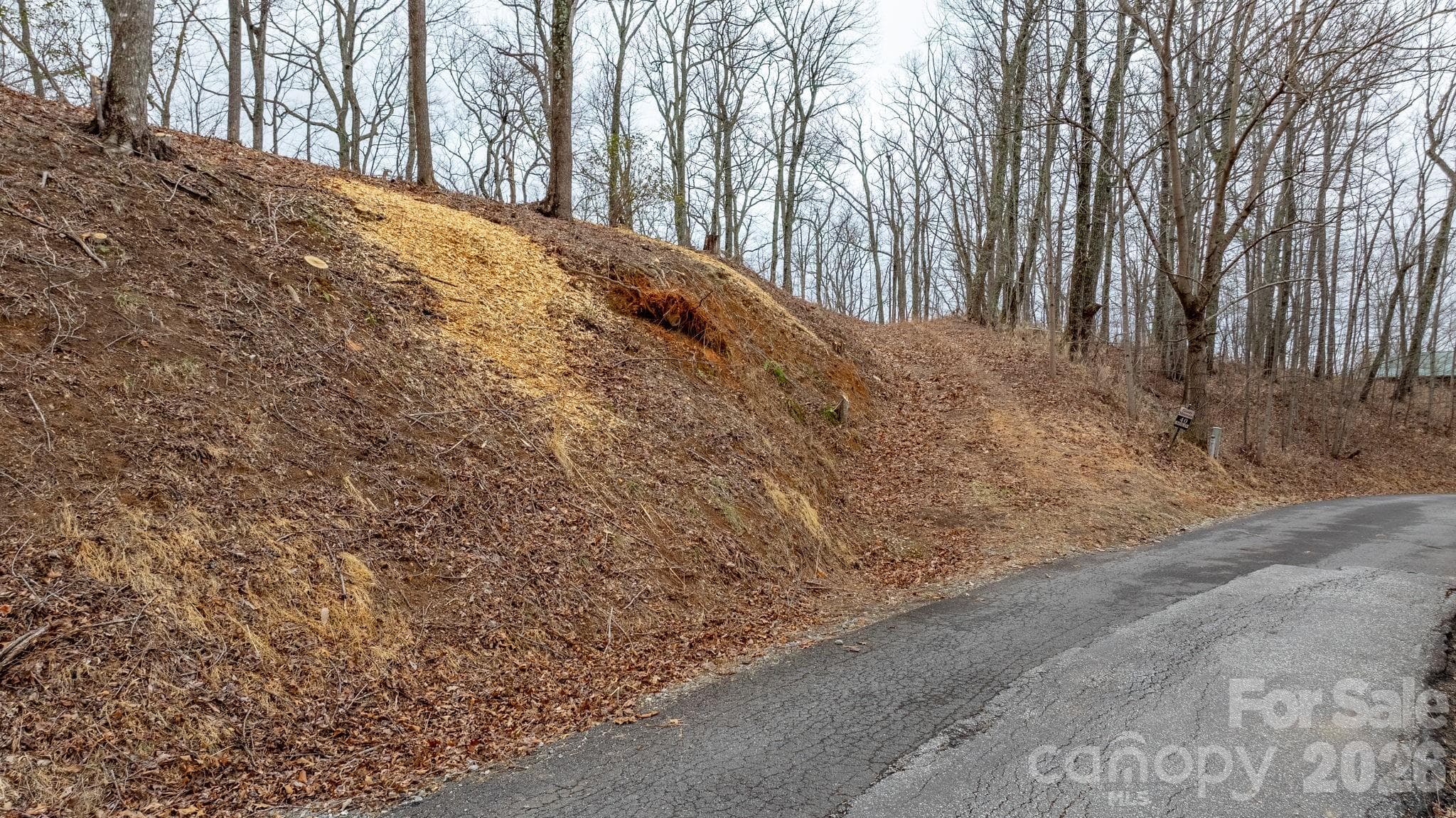 Lot at 0 Mountain Crest Drive S, Marion, photo 6 of 27